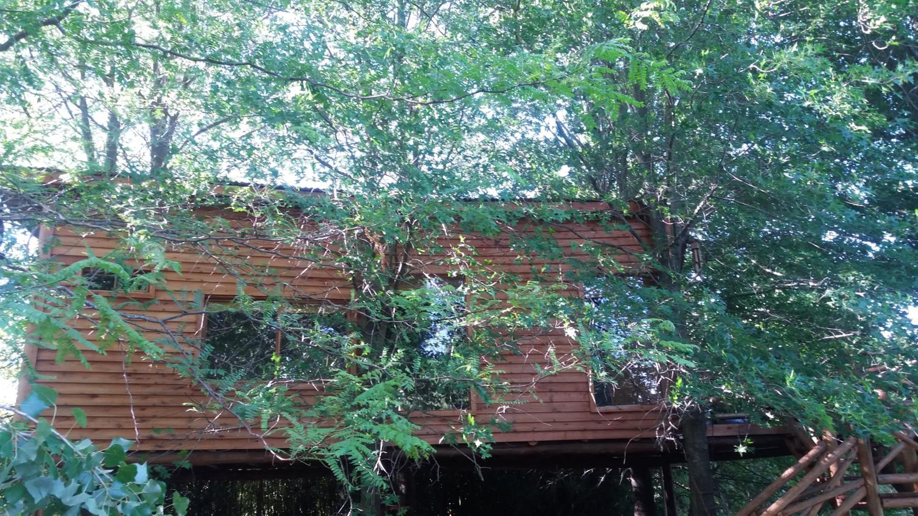 La Casa Del Arbol con pileta privada