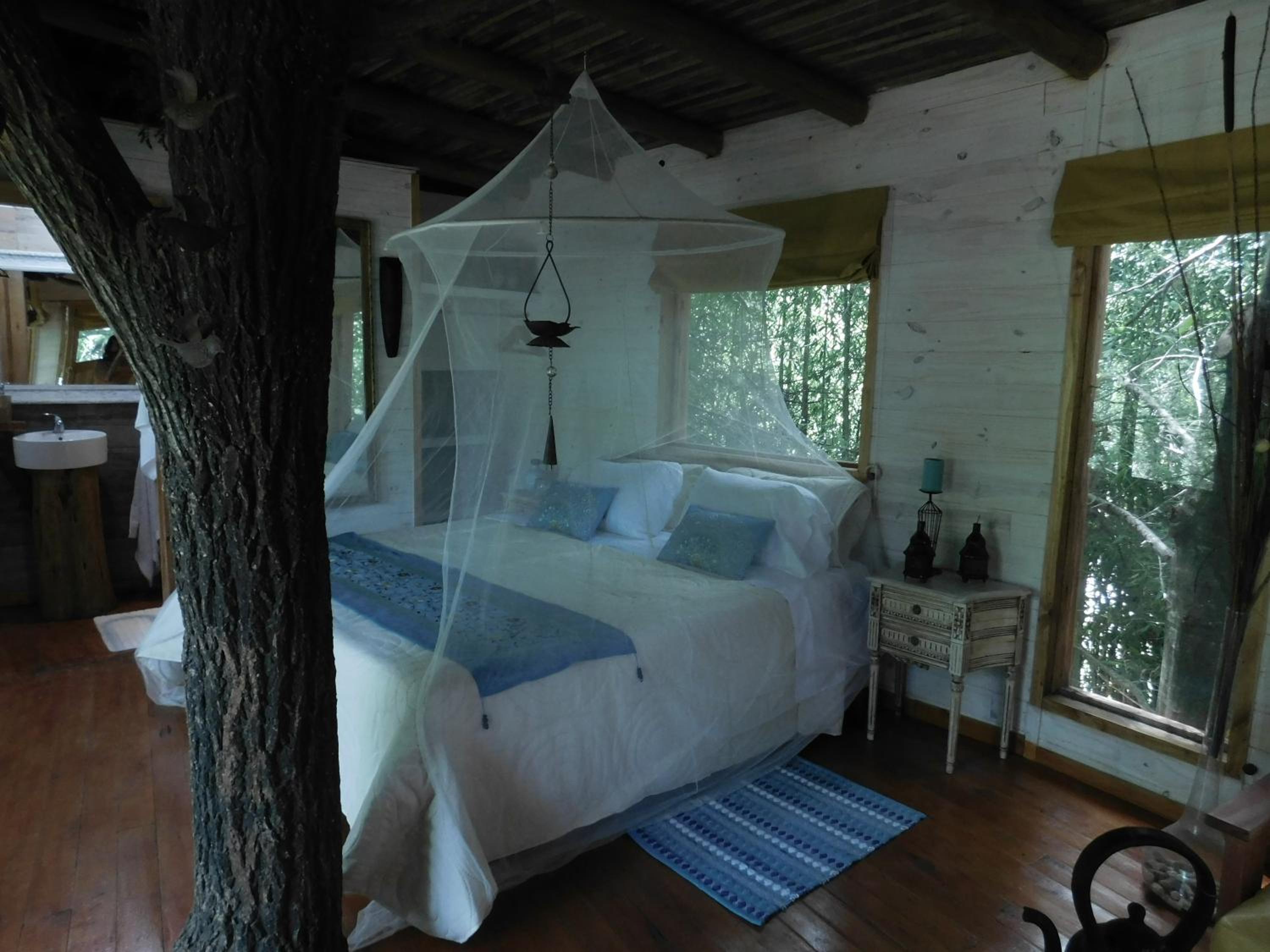 La Casa Del Arbol con pileta privada