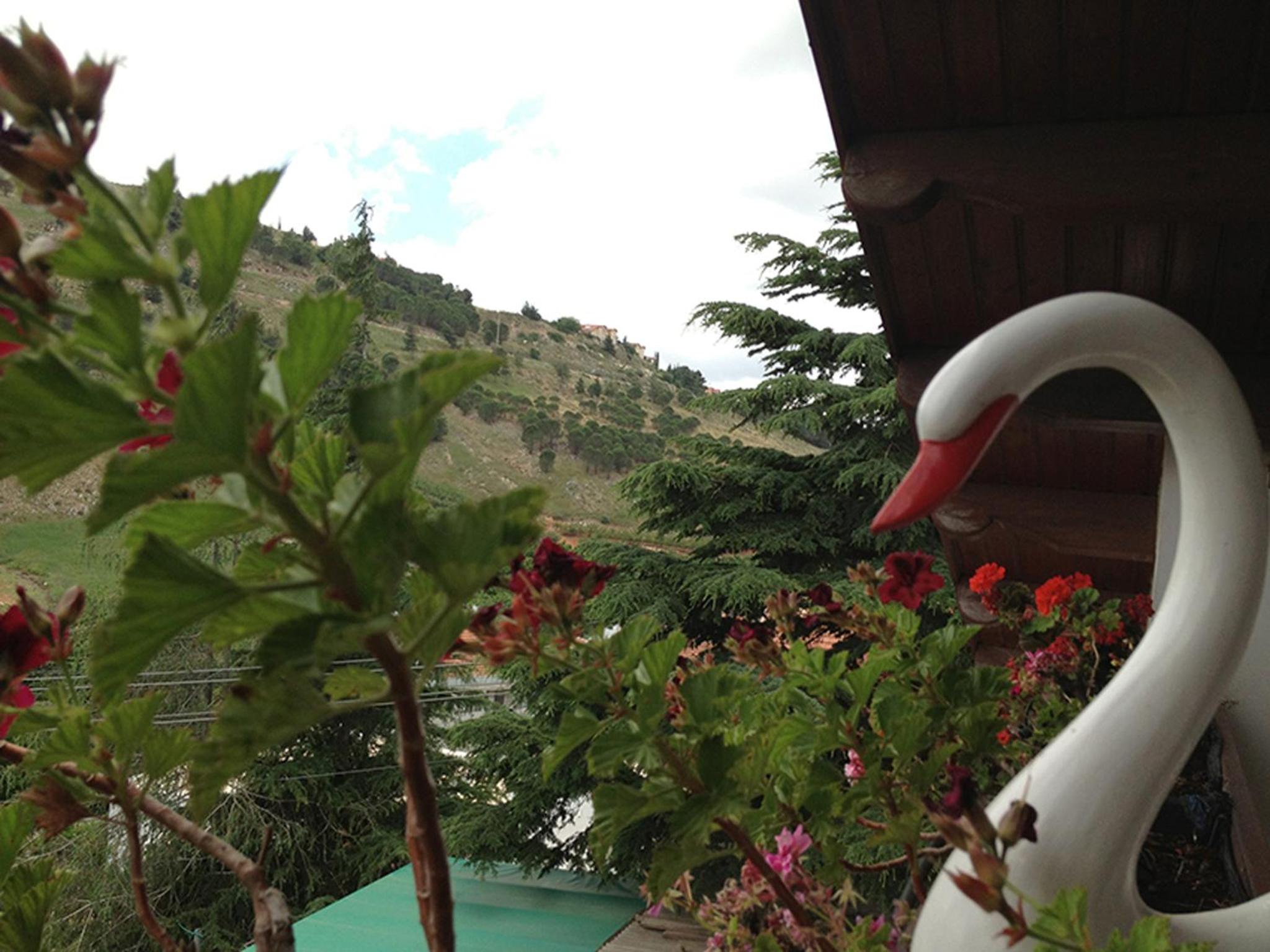 Photo 22
