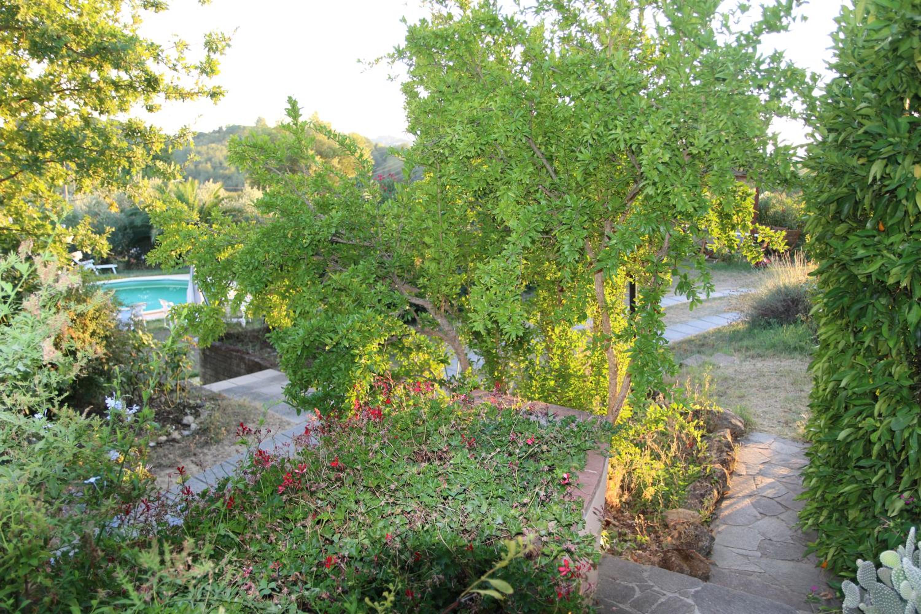 Photo 22
