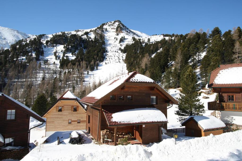 Ferienhaus Turracherhöhe Erlacher view 2