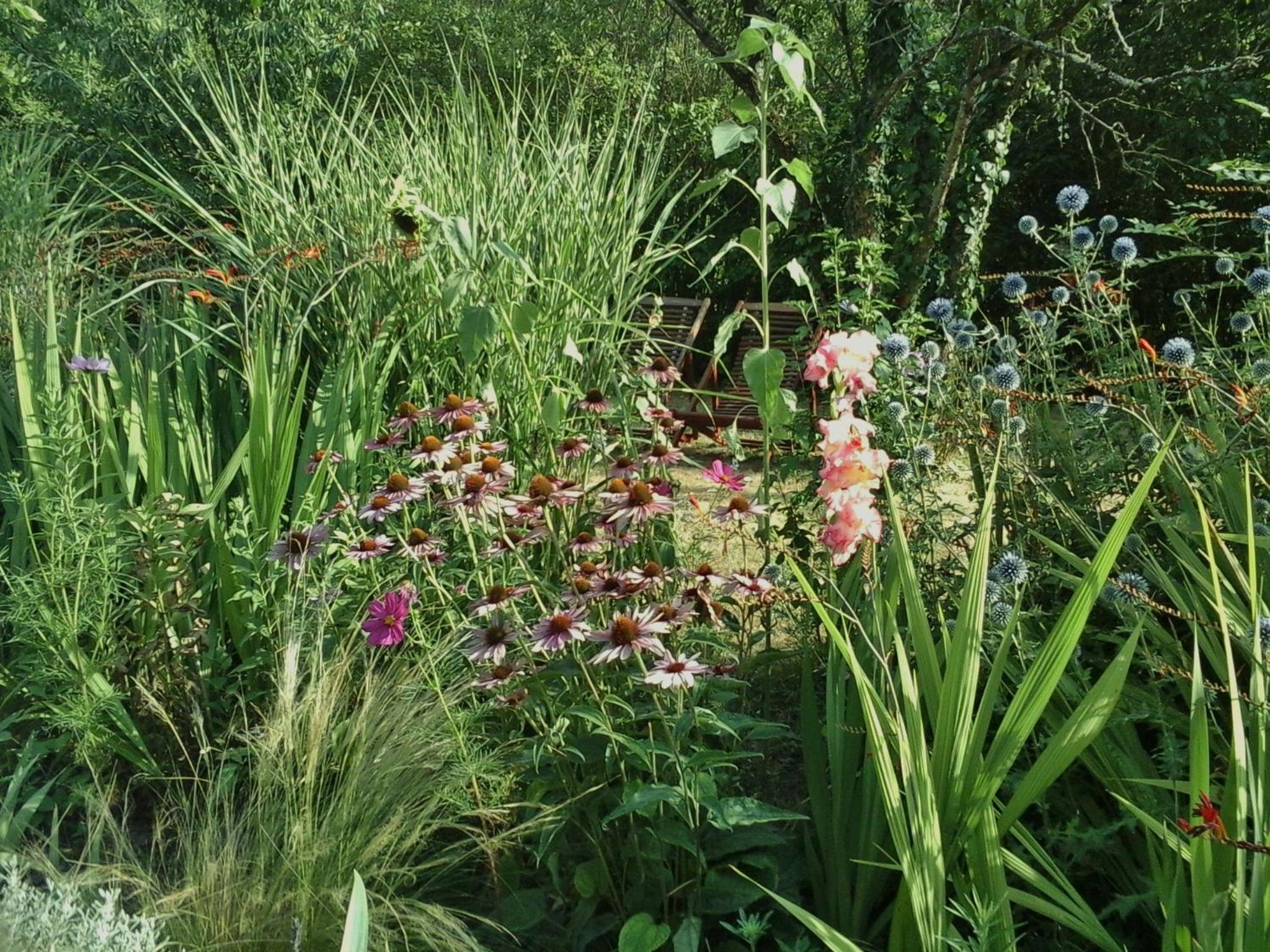 Photo 27