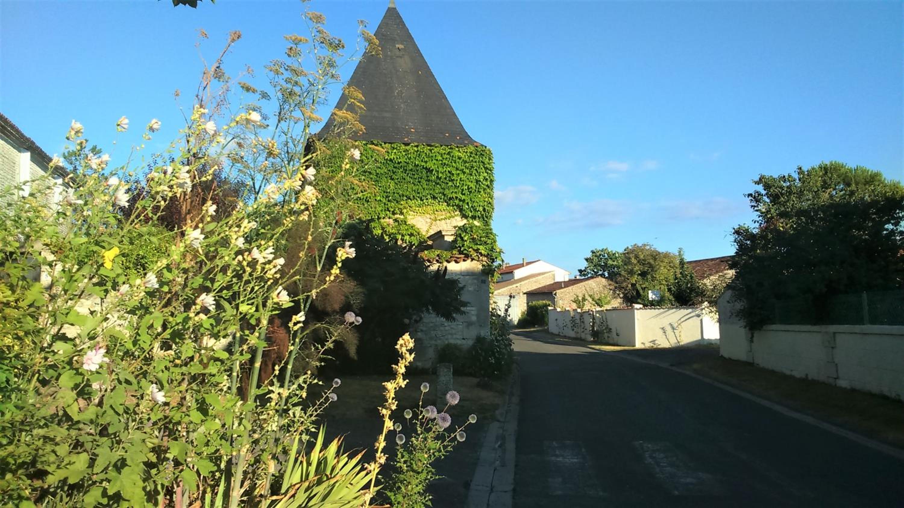 Photo 10