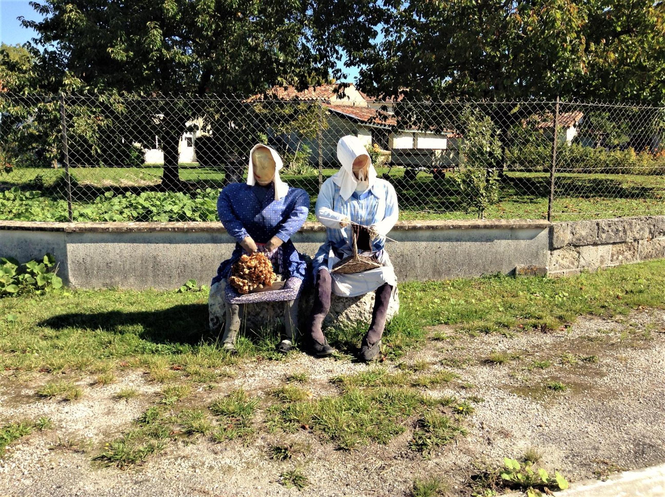 Photo 46