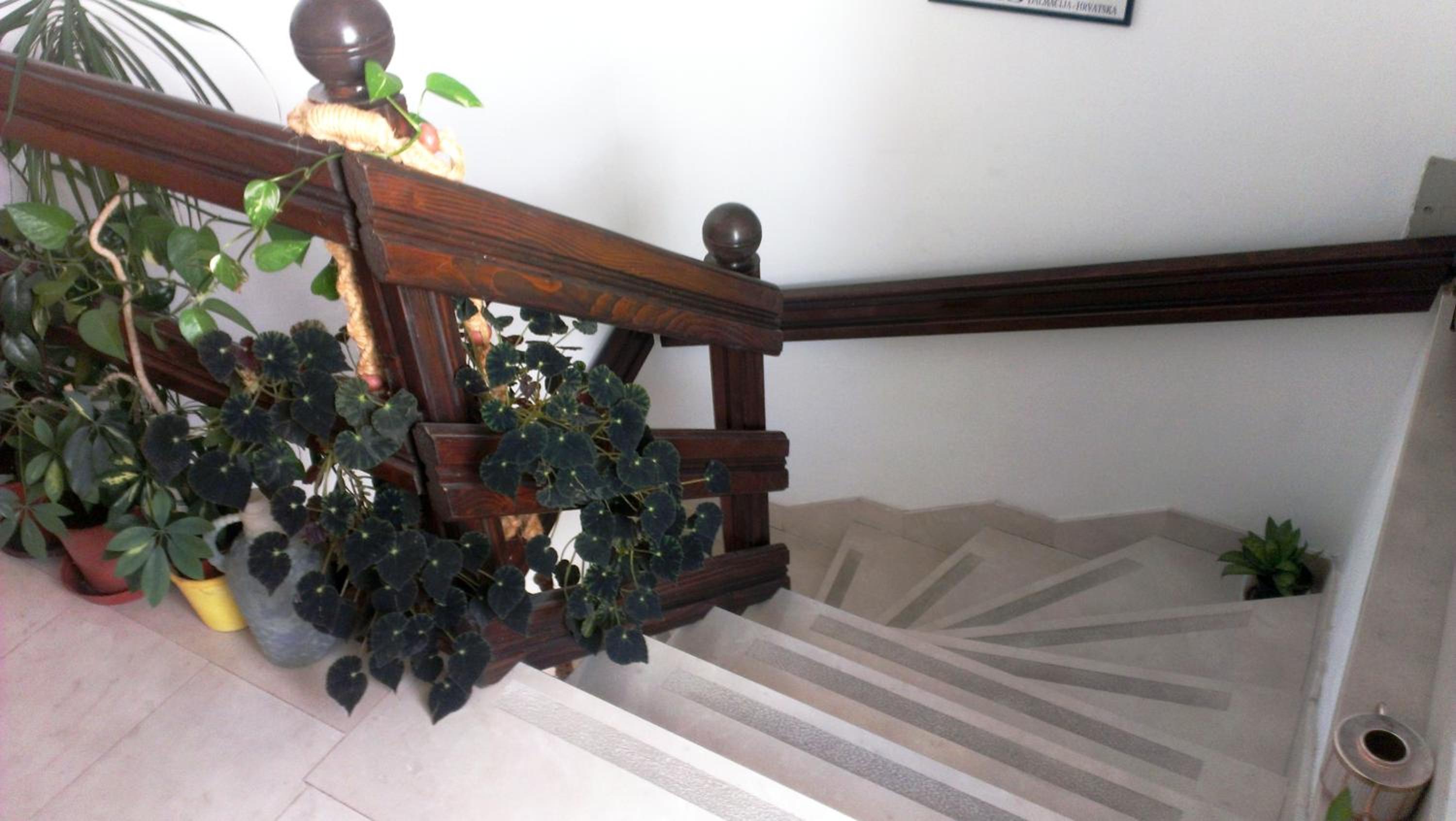 Apartments Ivka