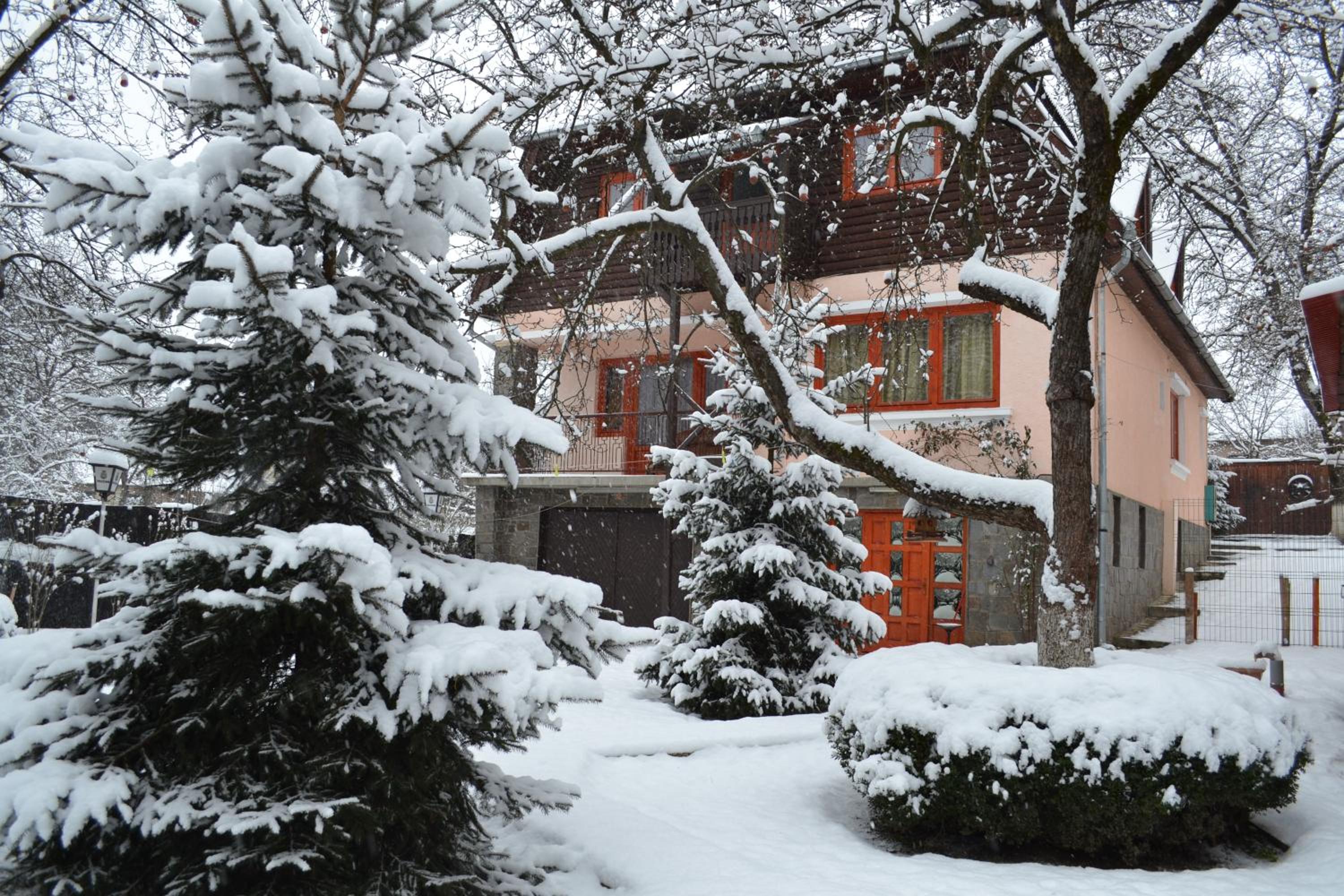 Hotel Casa Camelia - Image 1