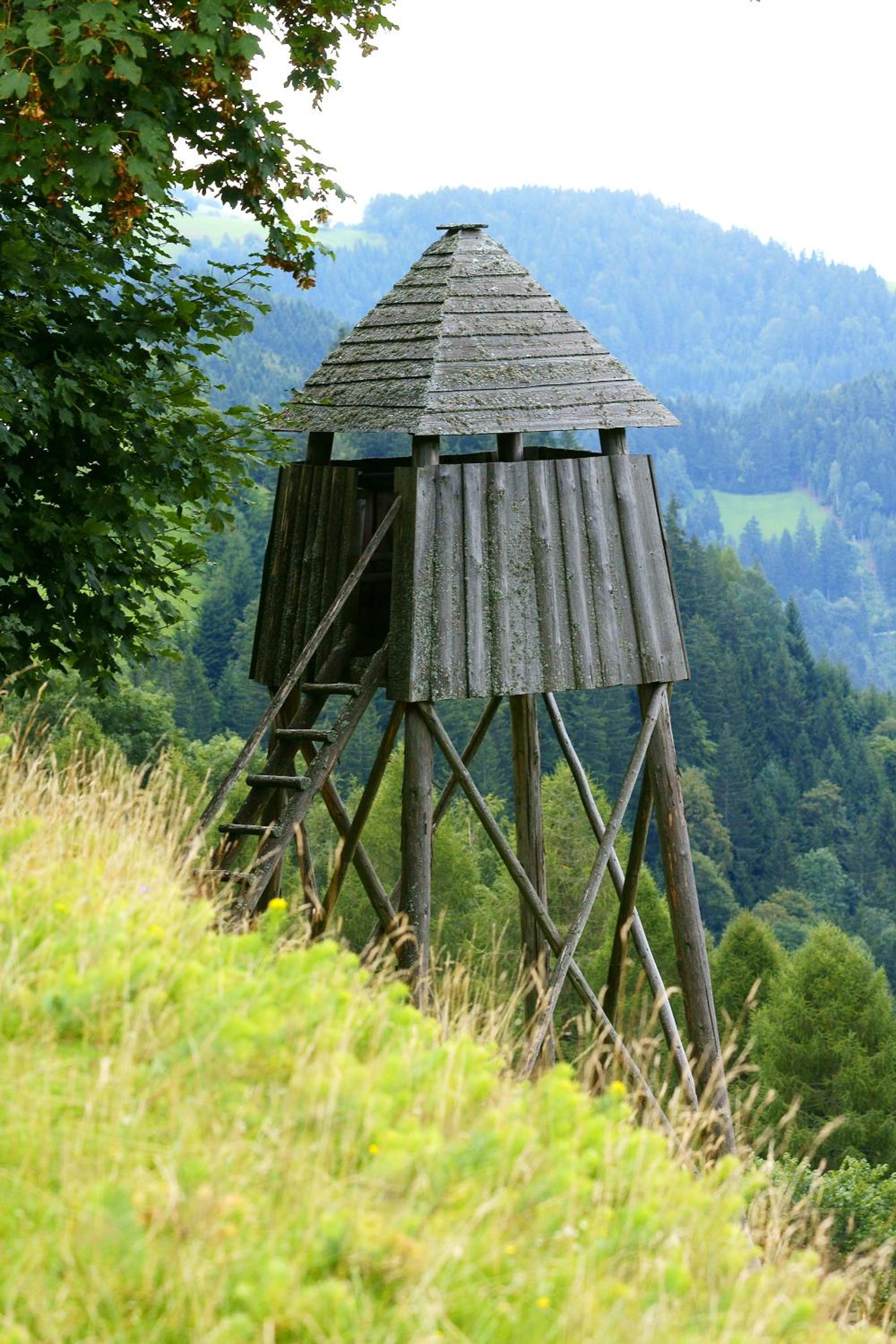Tourist Farm Arbajter view 4
