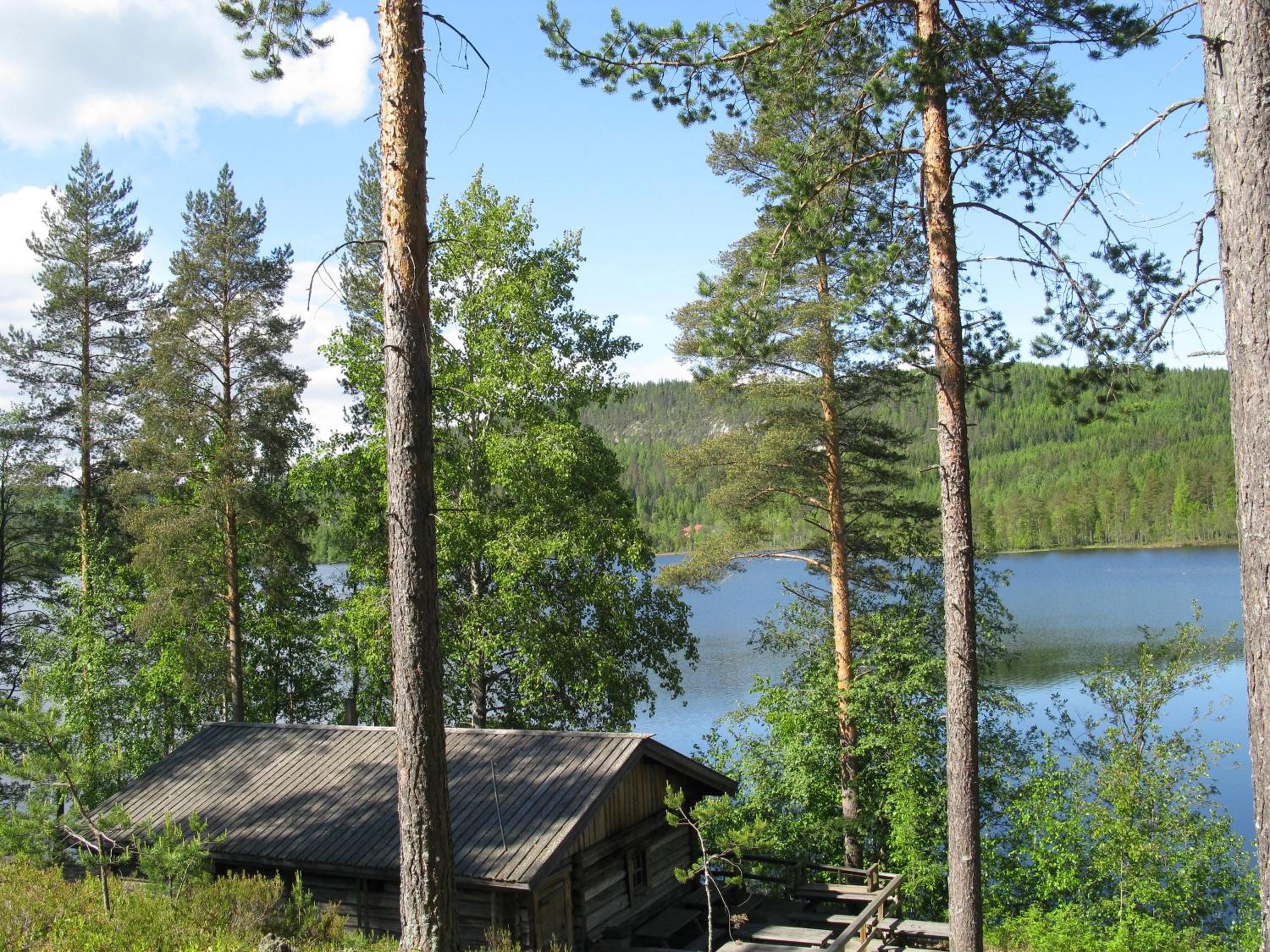 Kolin saunaharju