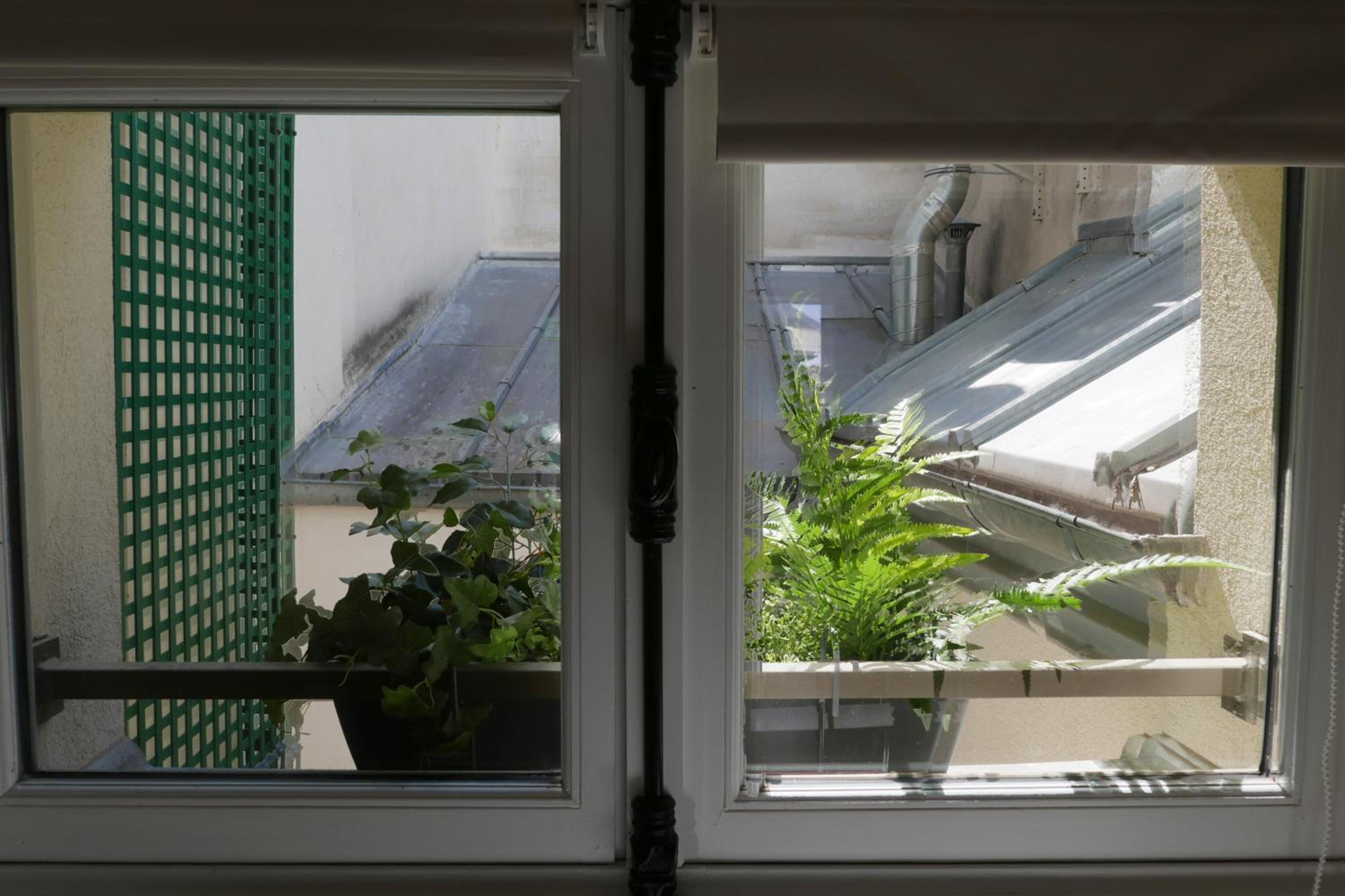 Apartments Cosy