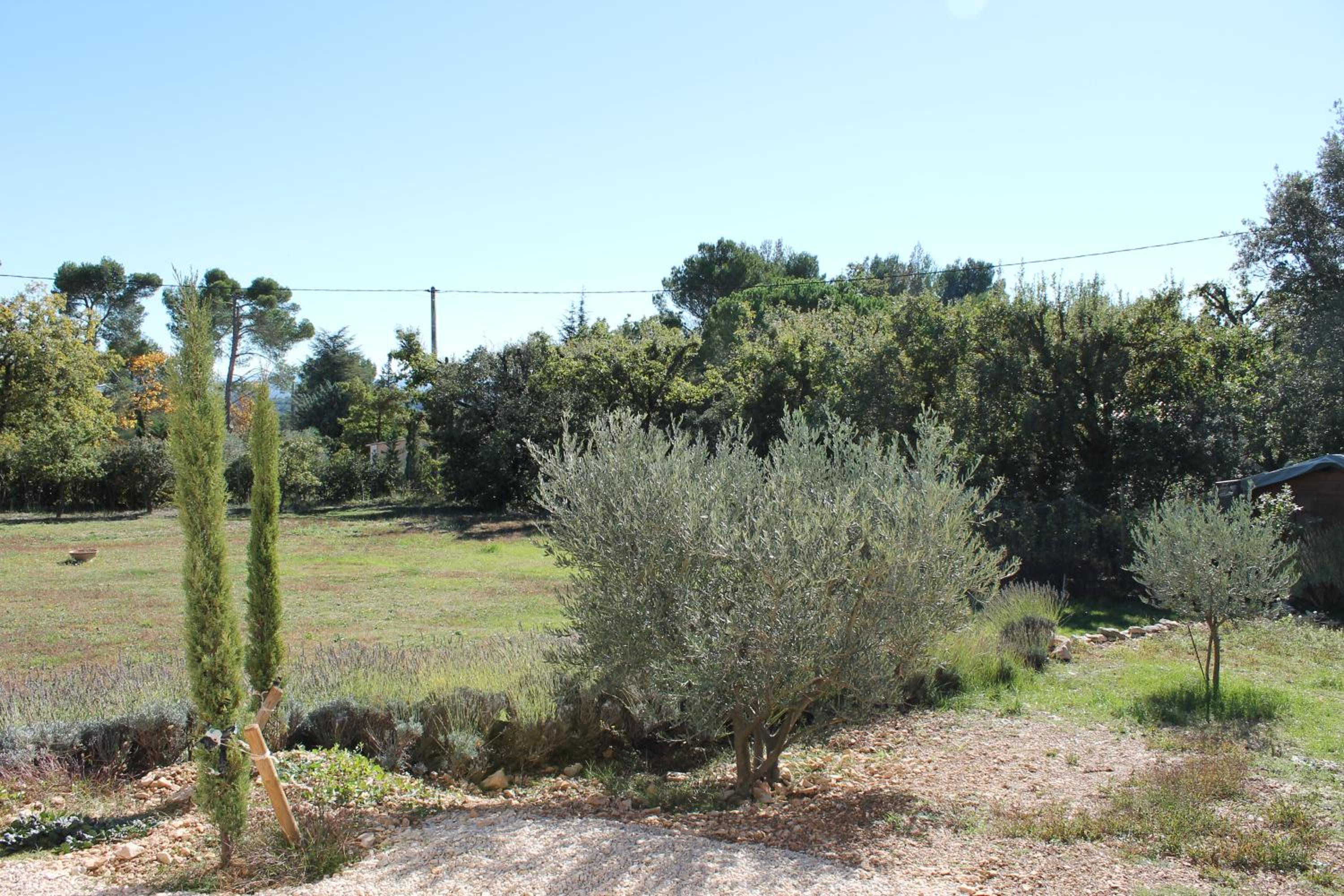 Photo 26