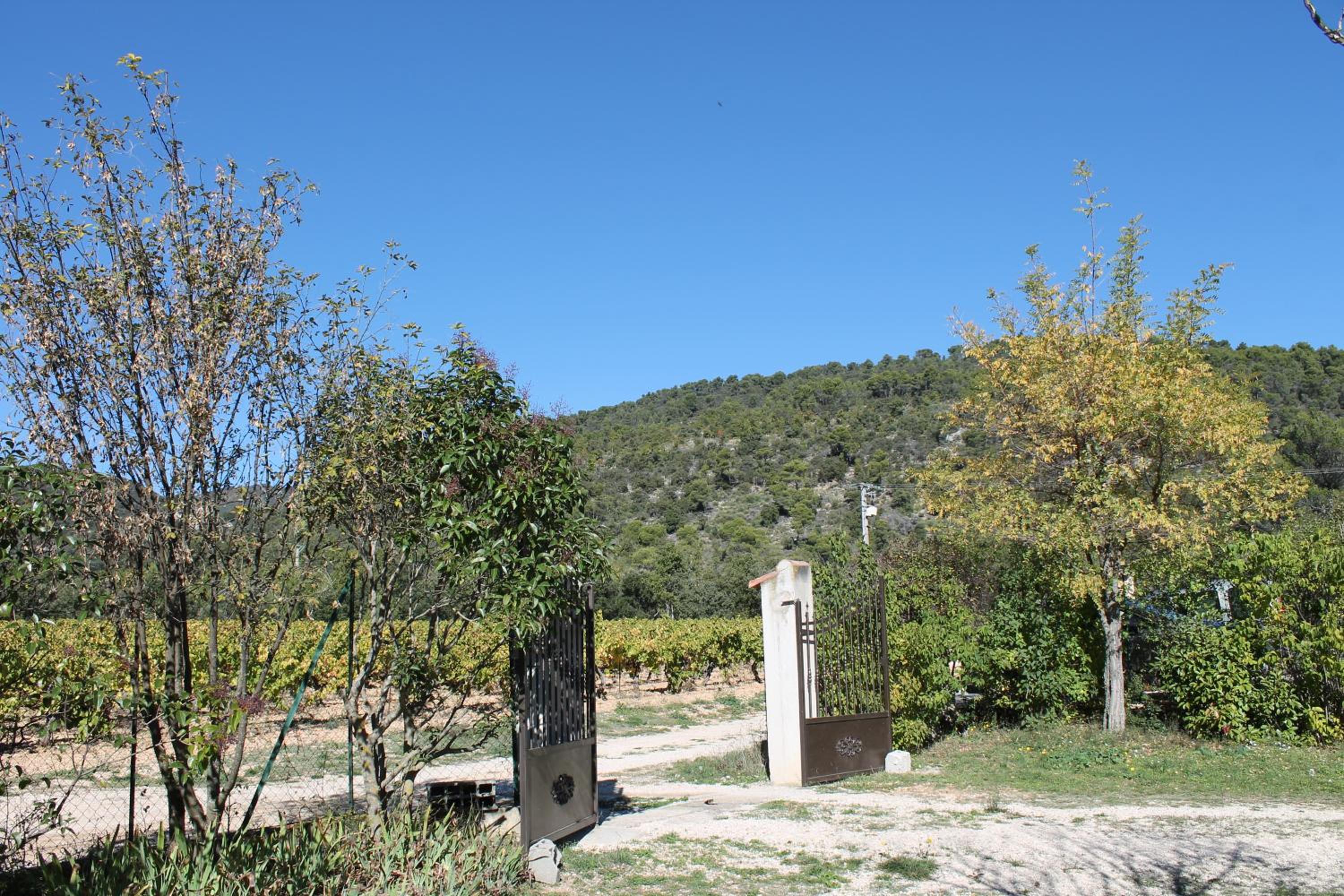 Photo 25