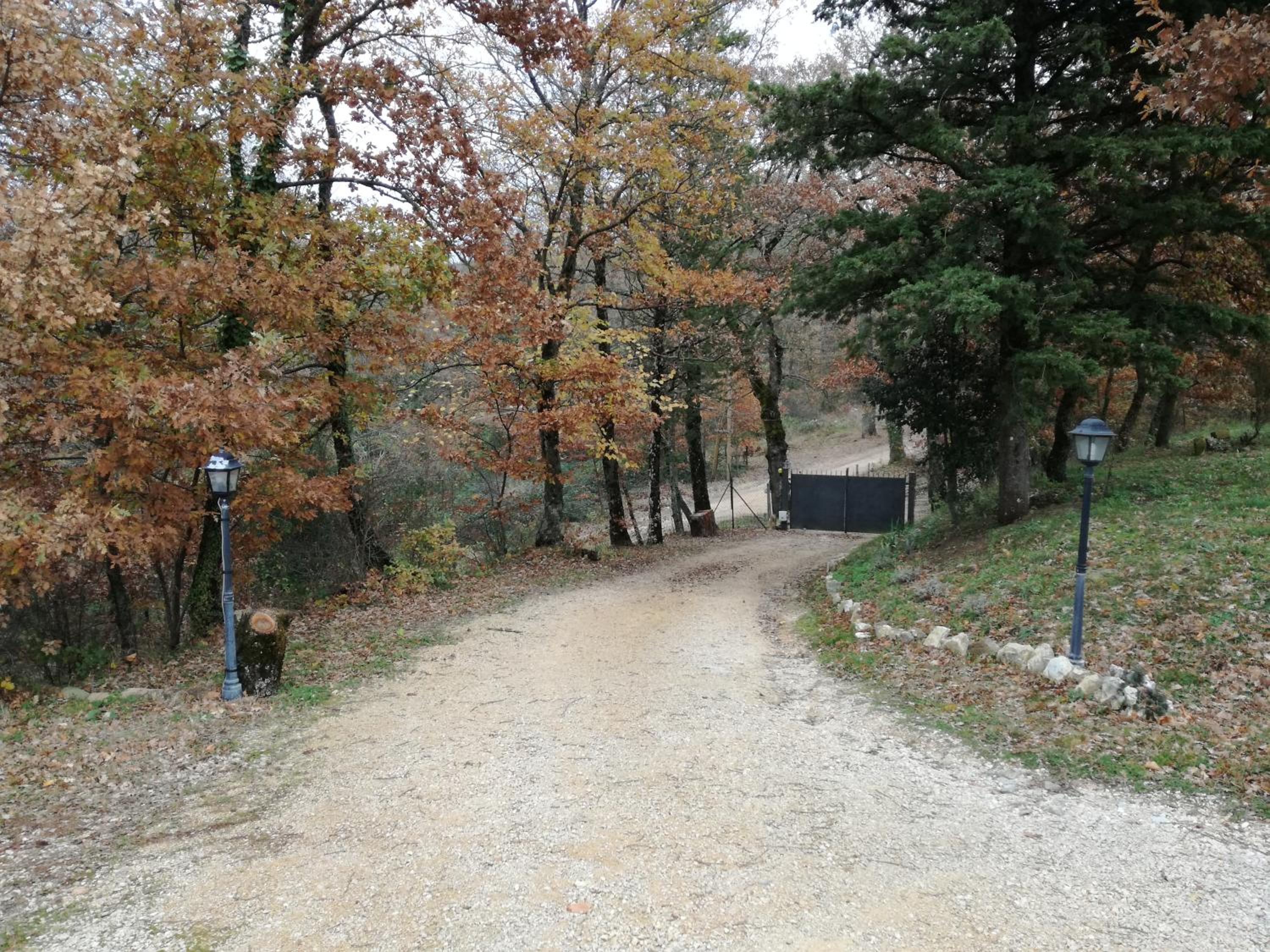 Il Podere Degli Artisti