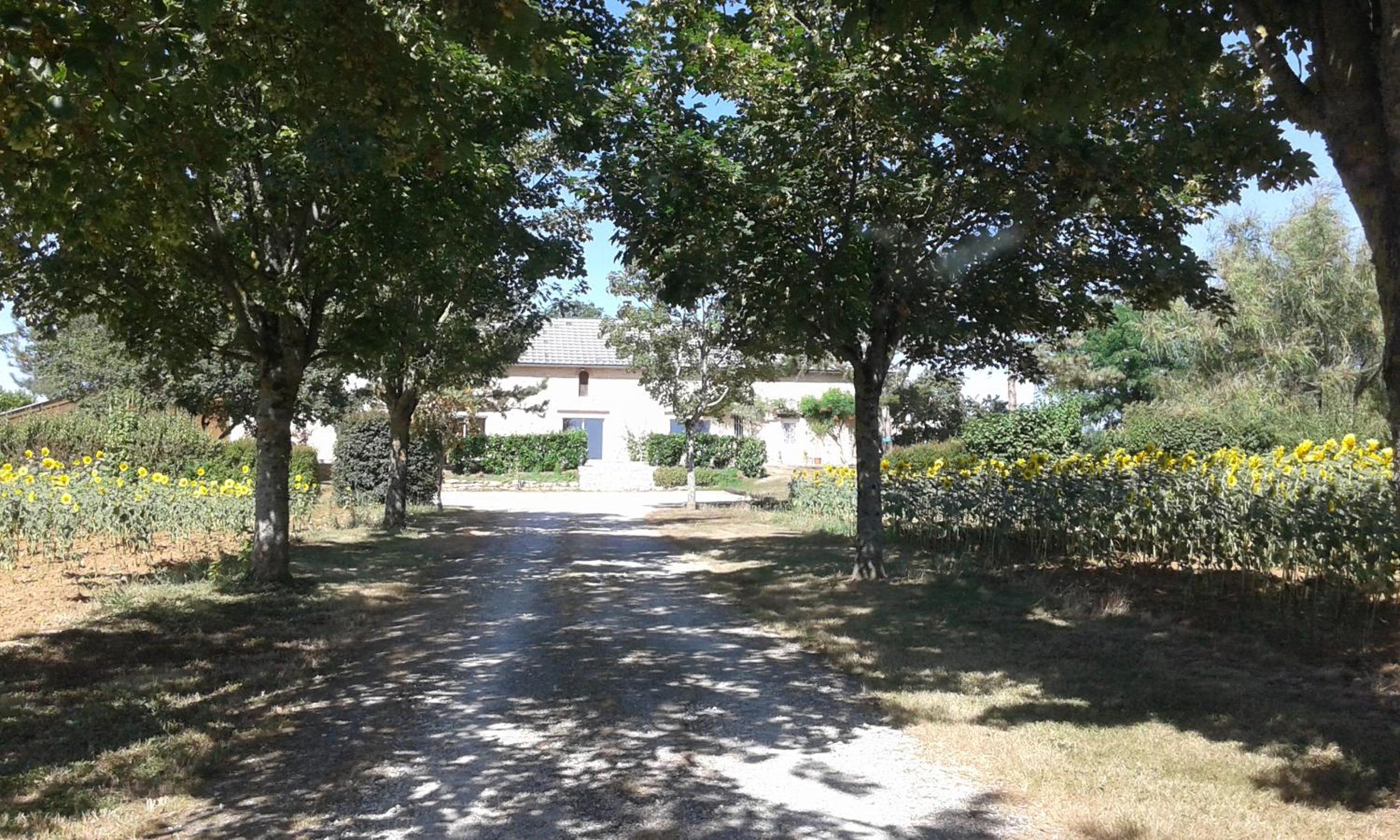 Gîte Des Pas De Renards view 4