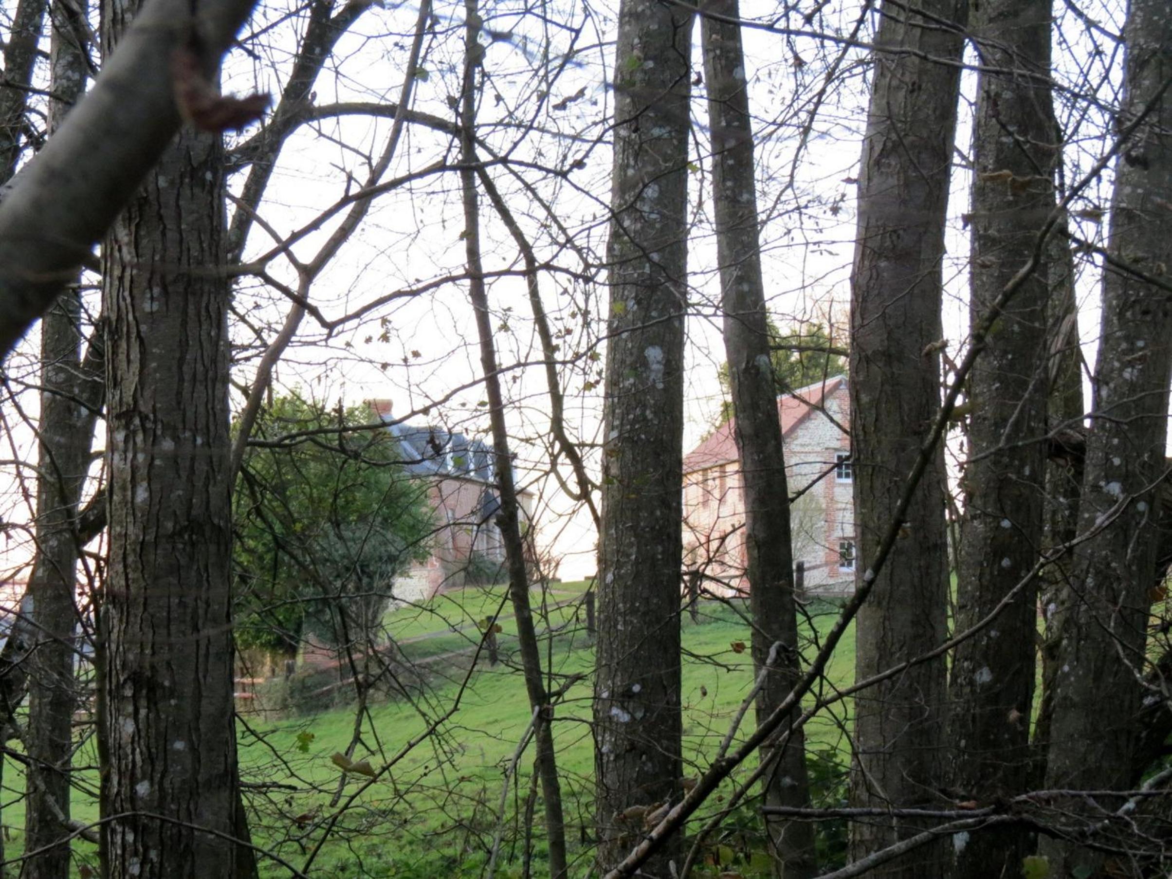 Photo 29