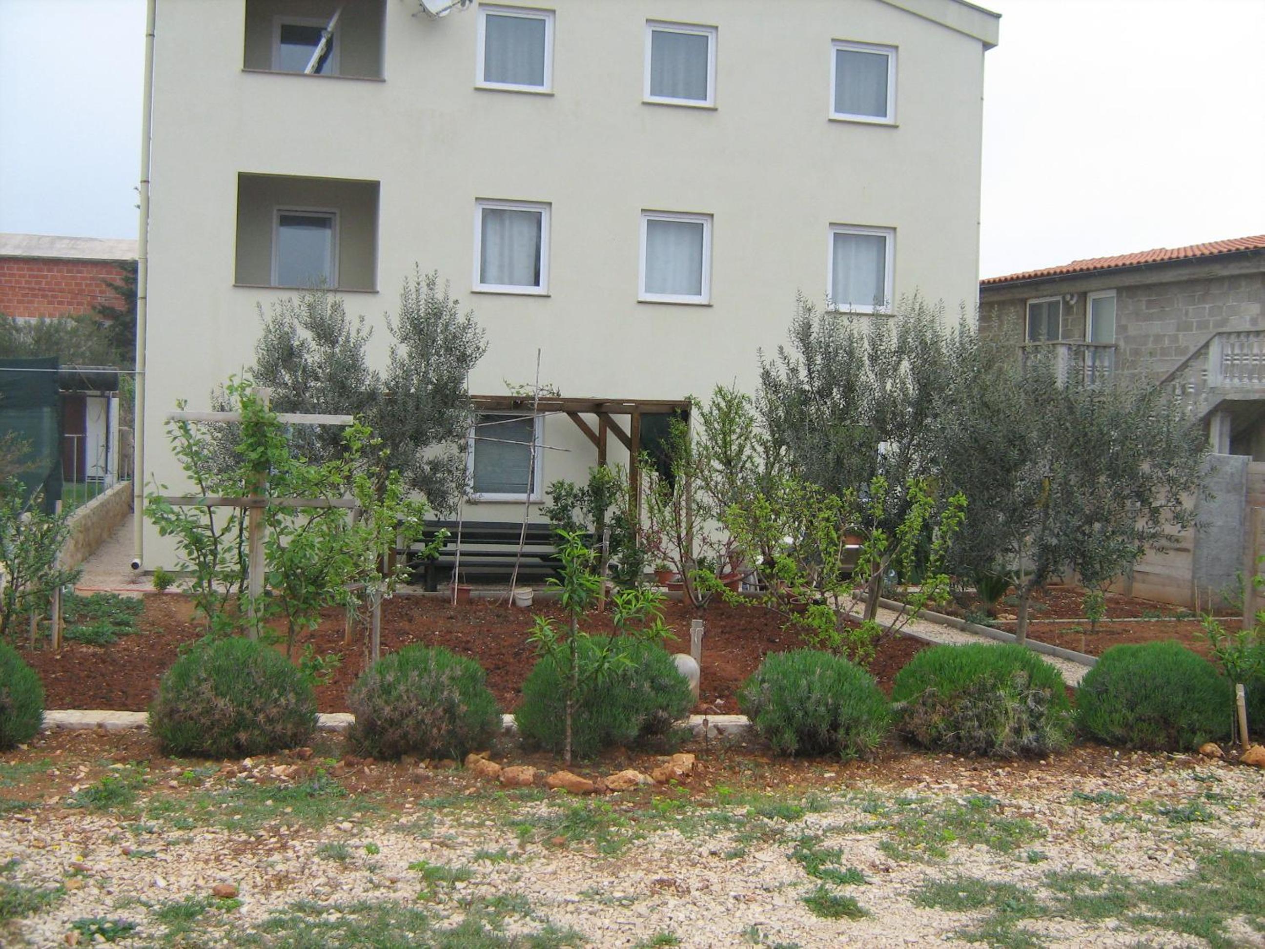 Apartments Ana
