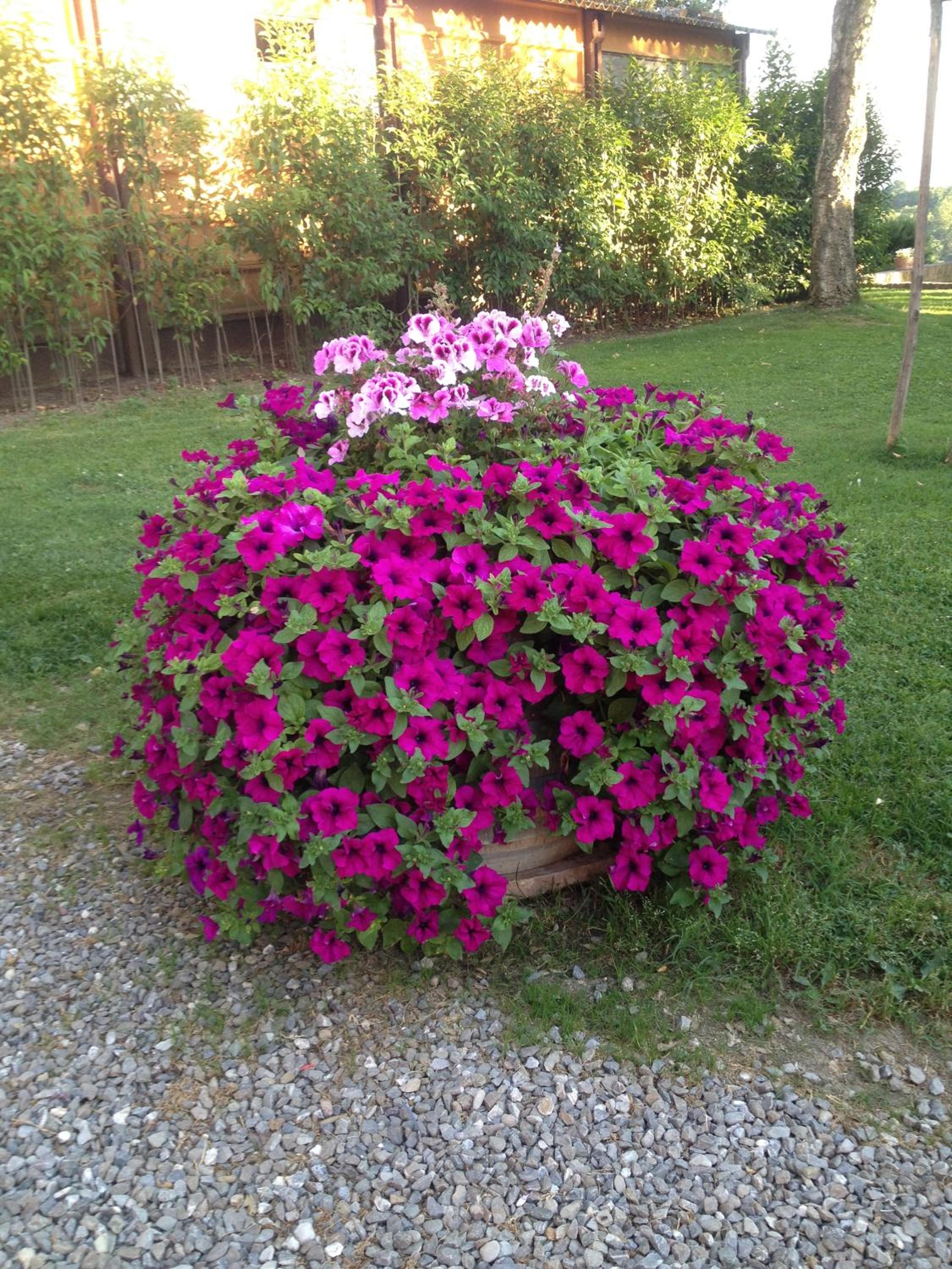 Photo 33