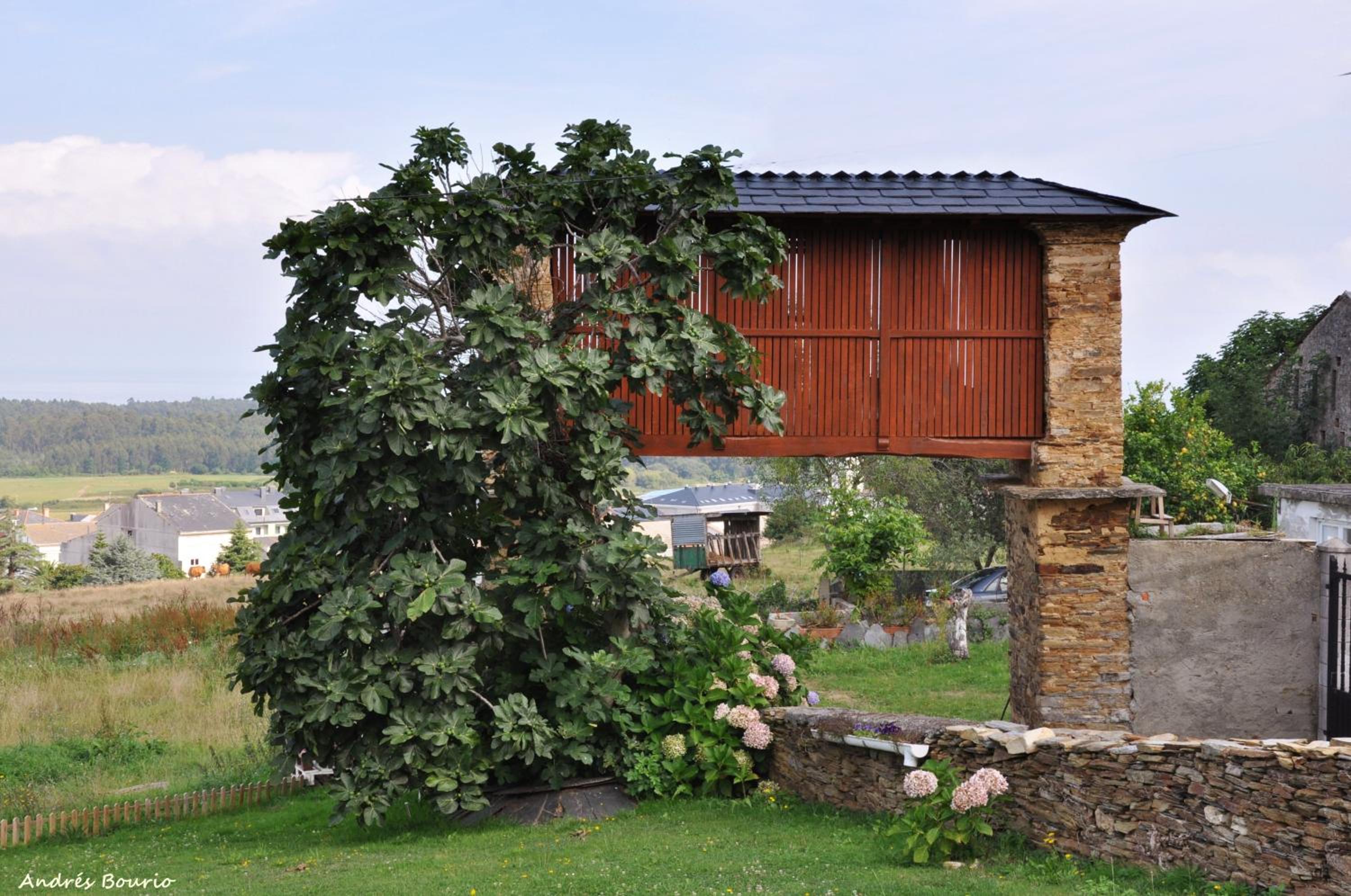Apartamentos A Palleira