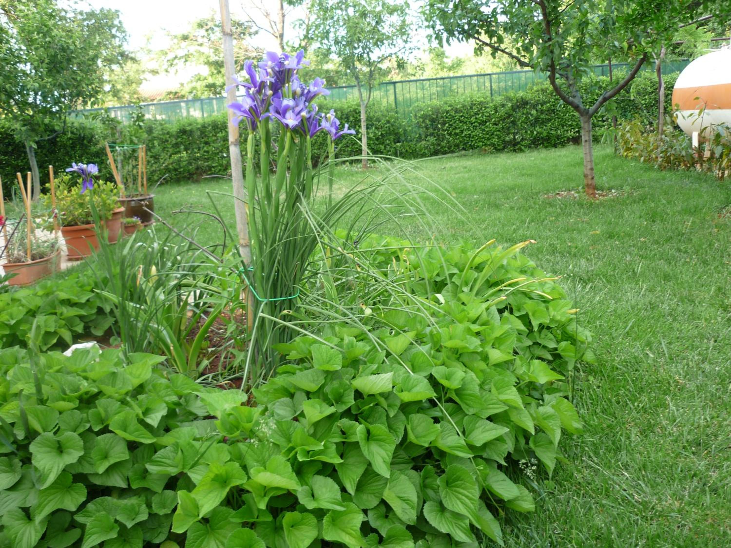 Photo 27