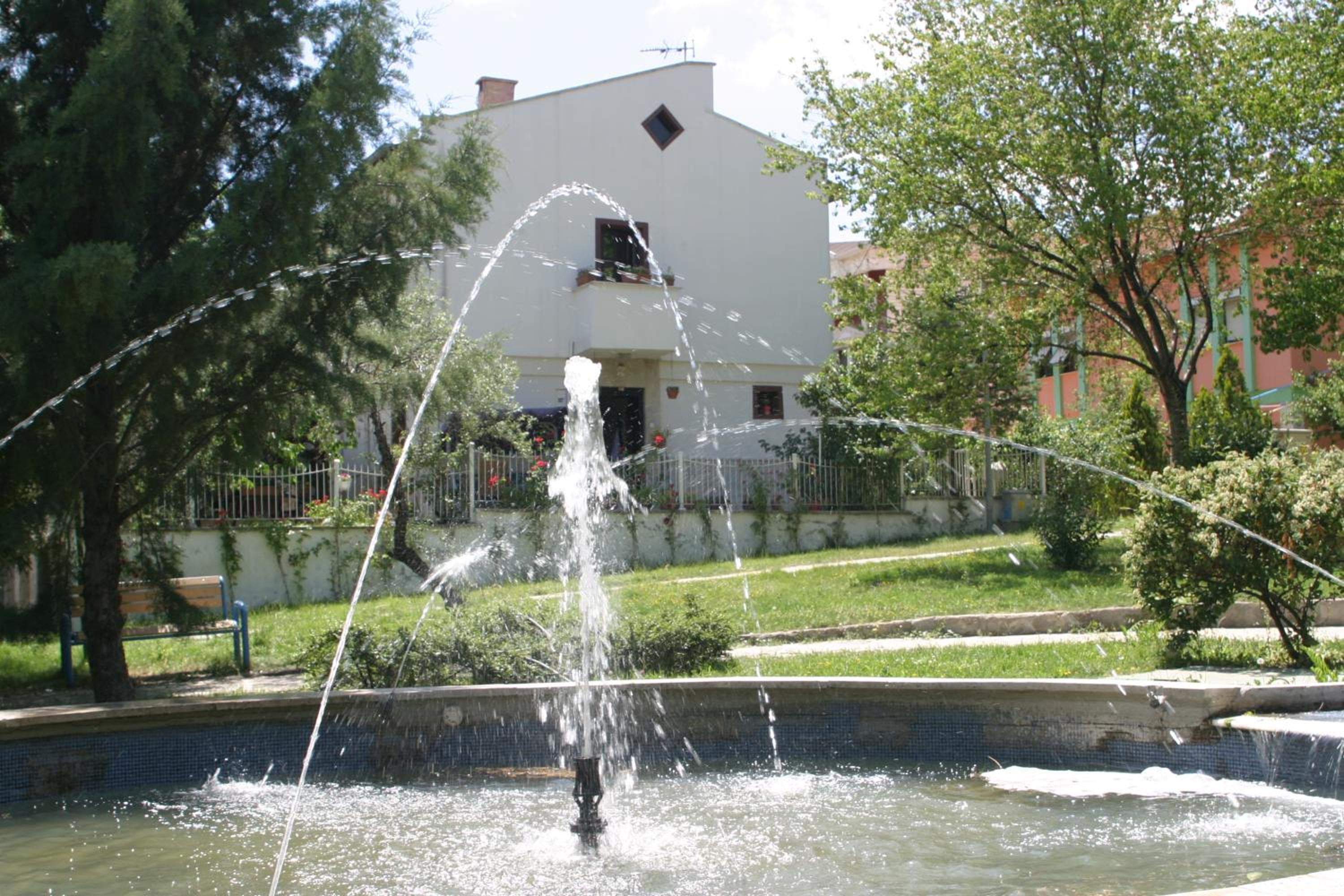 Photo 36