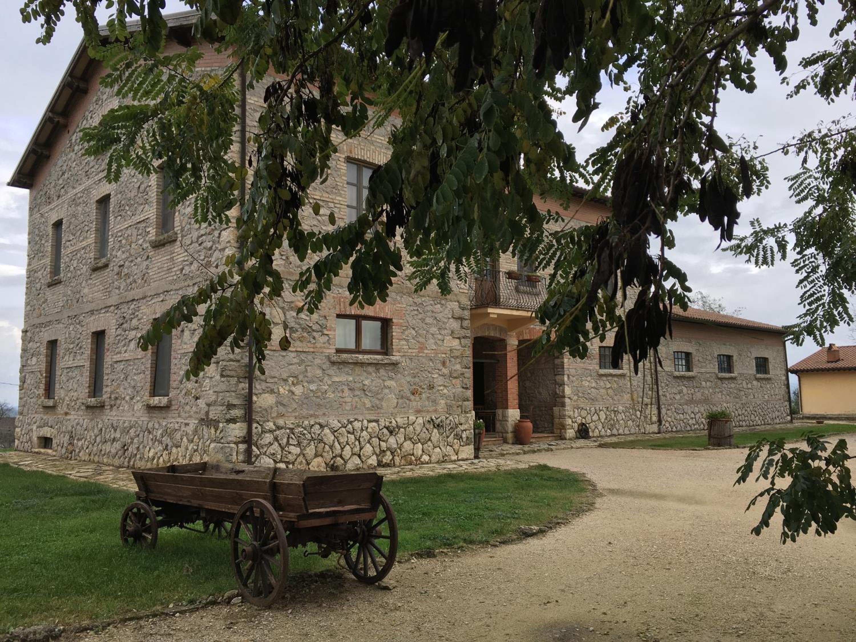 Photo 43