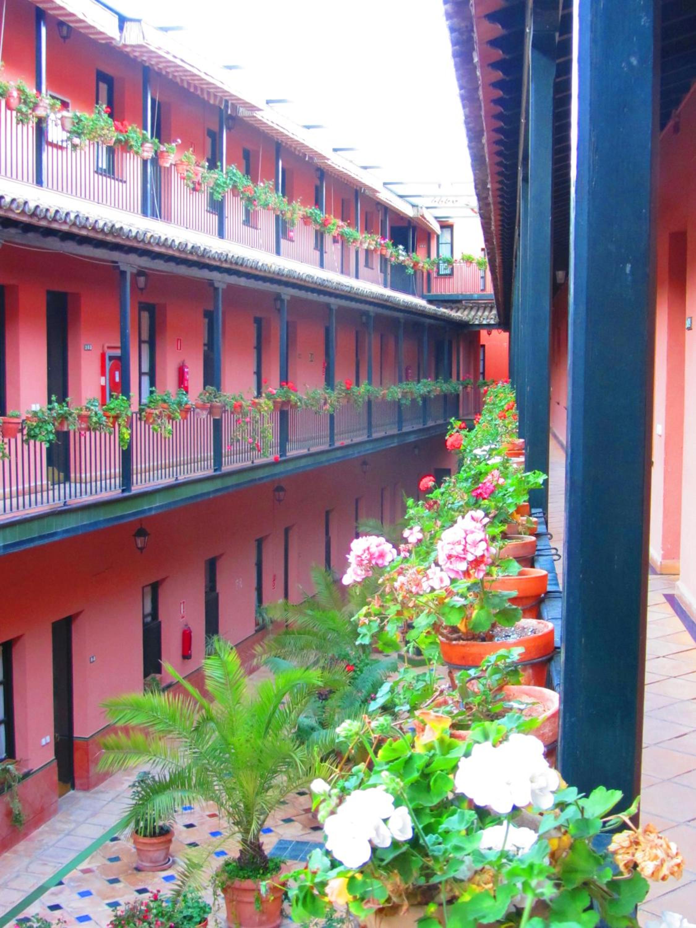 Un Viaje al Pasado en el Centro