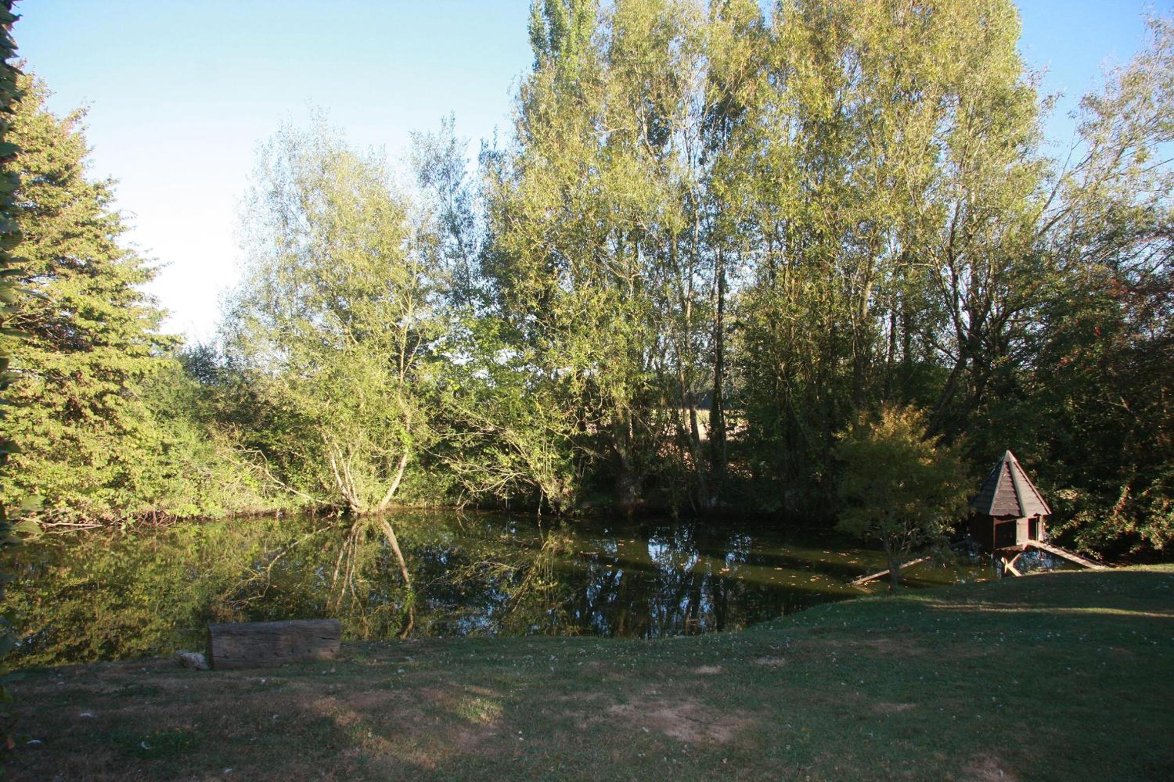 Photo 38