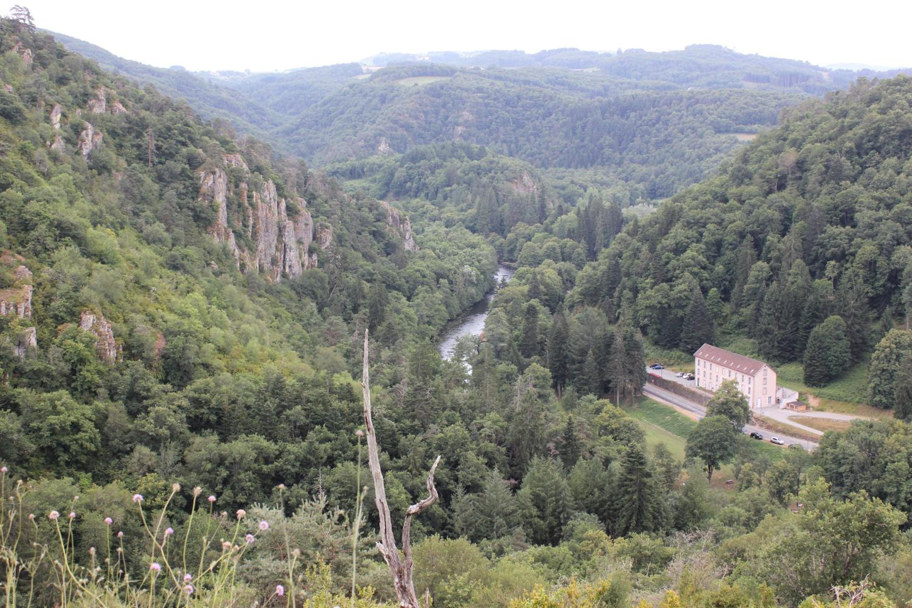 Photo 40