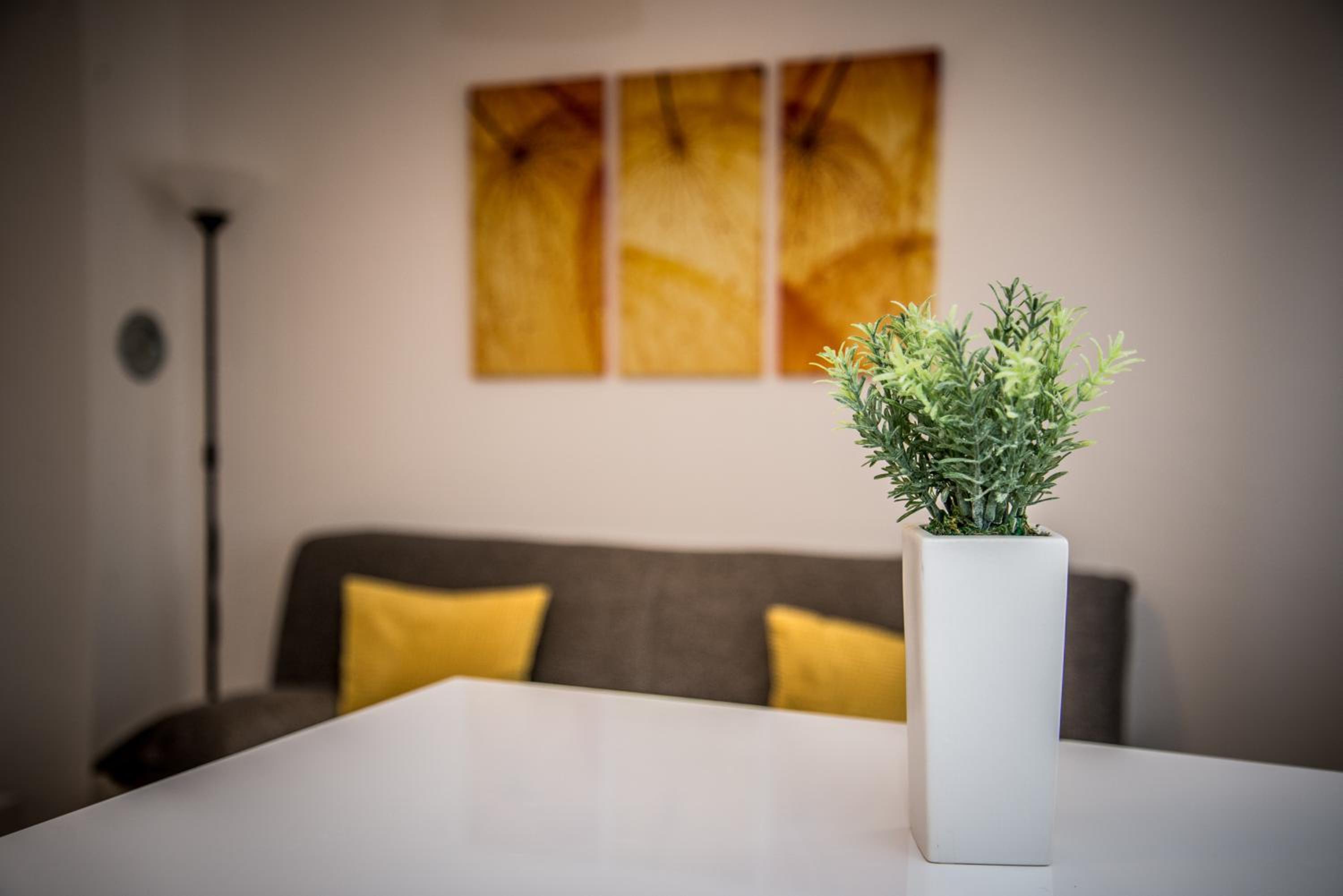 Apartment Roko view 5
