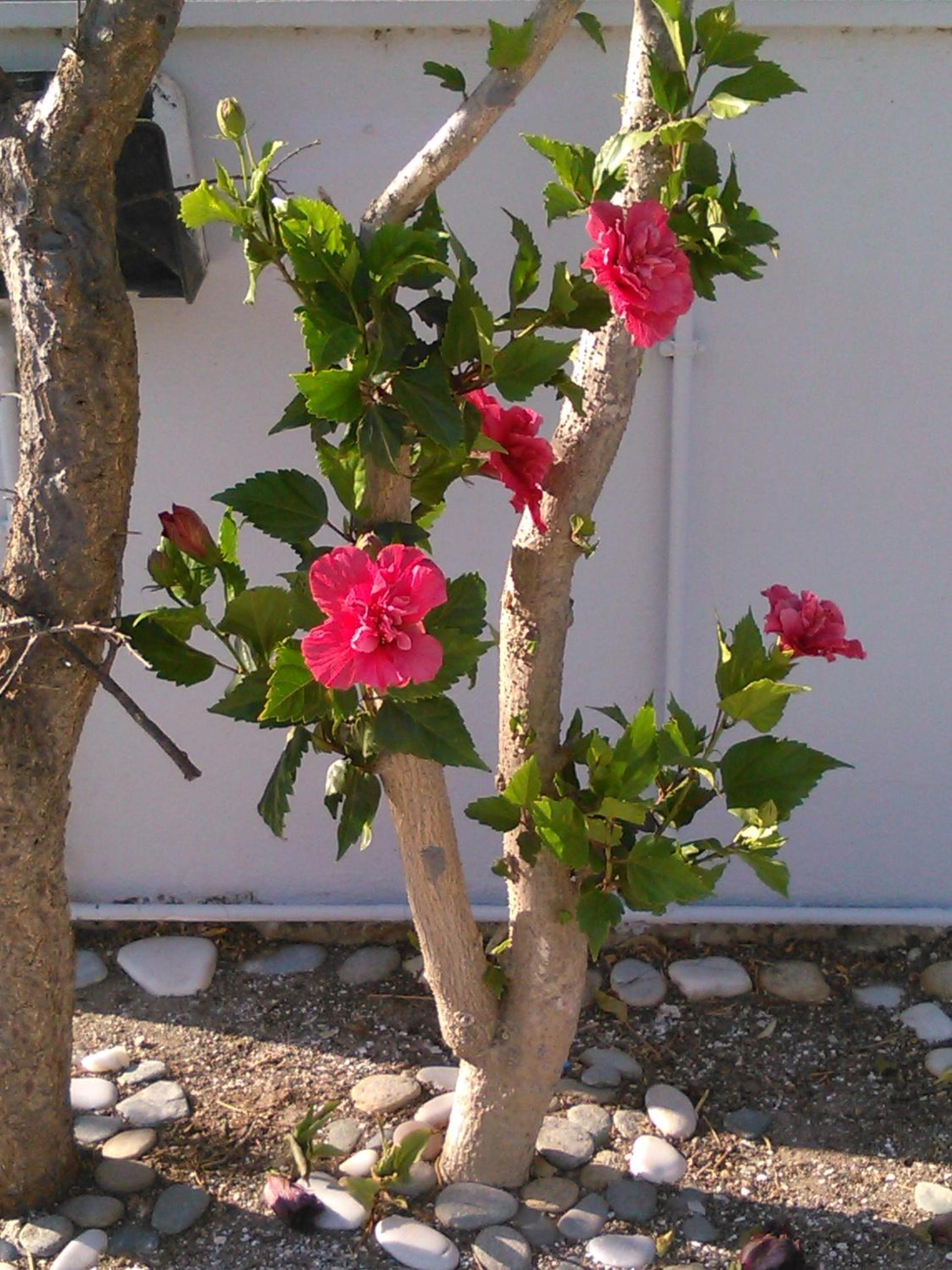 Photo 24
