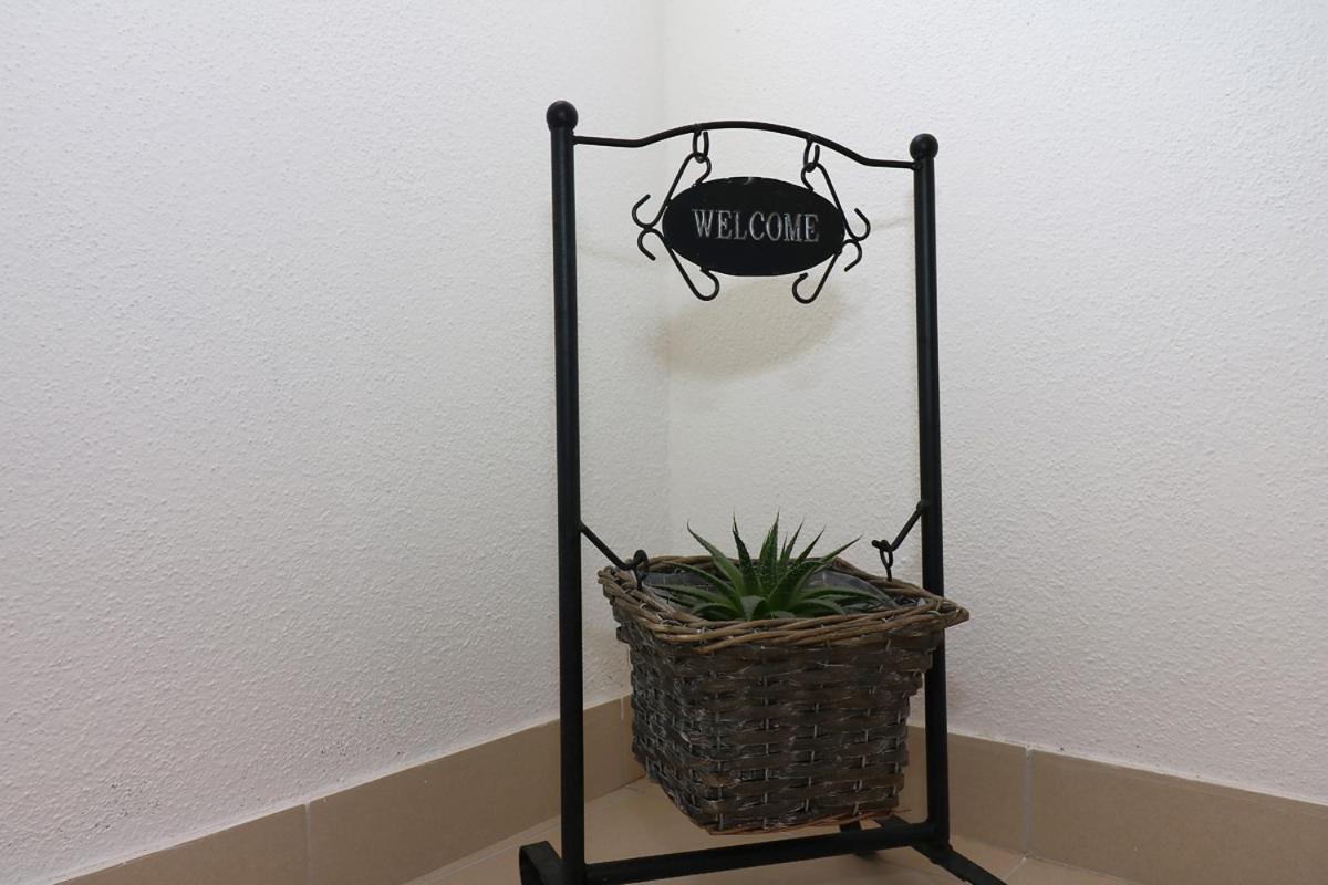 Apartment Antonio