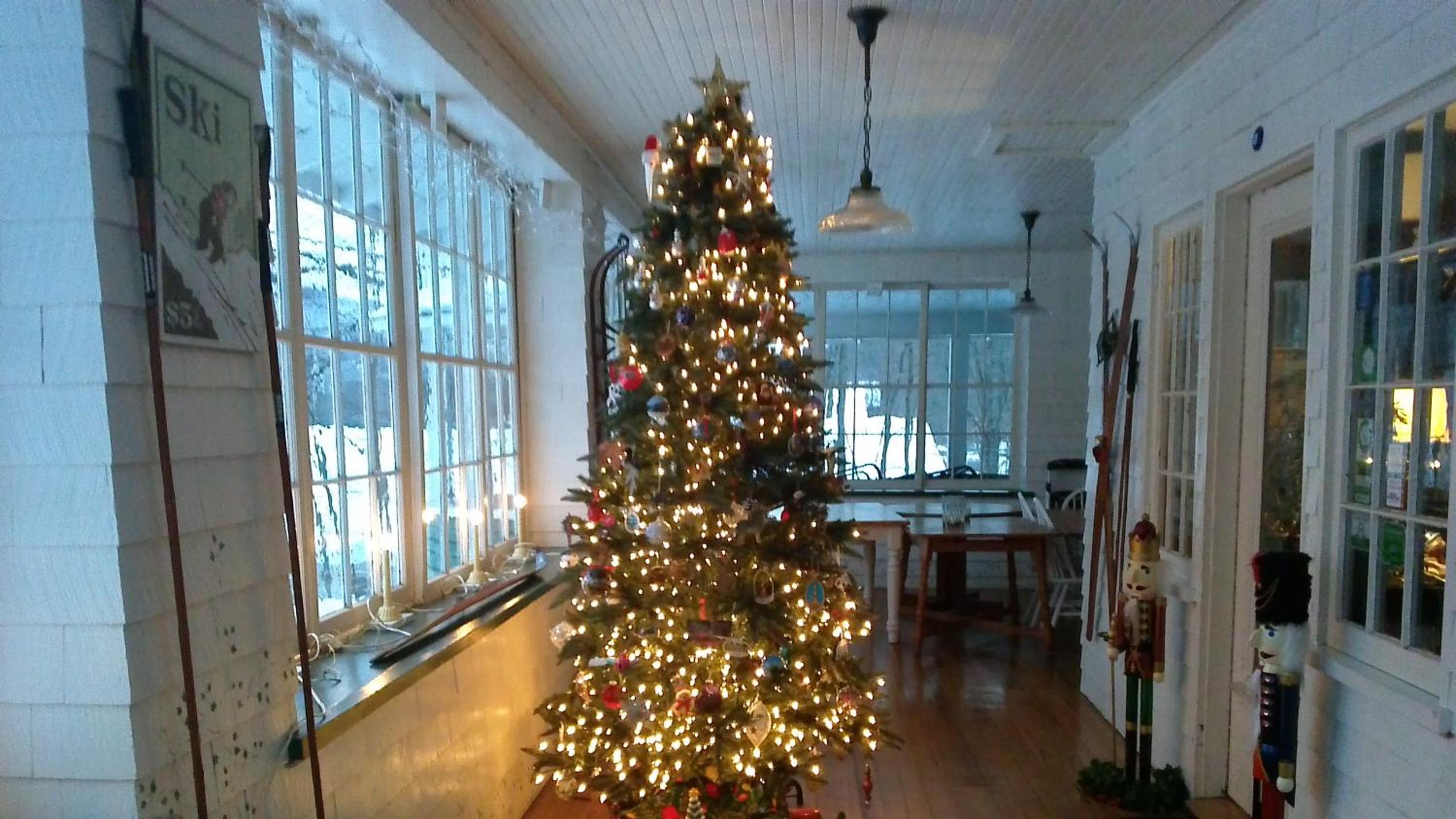 Photo 45