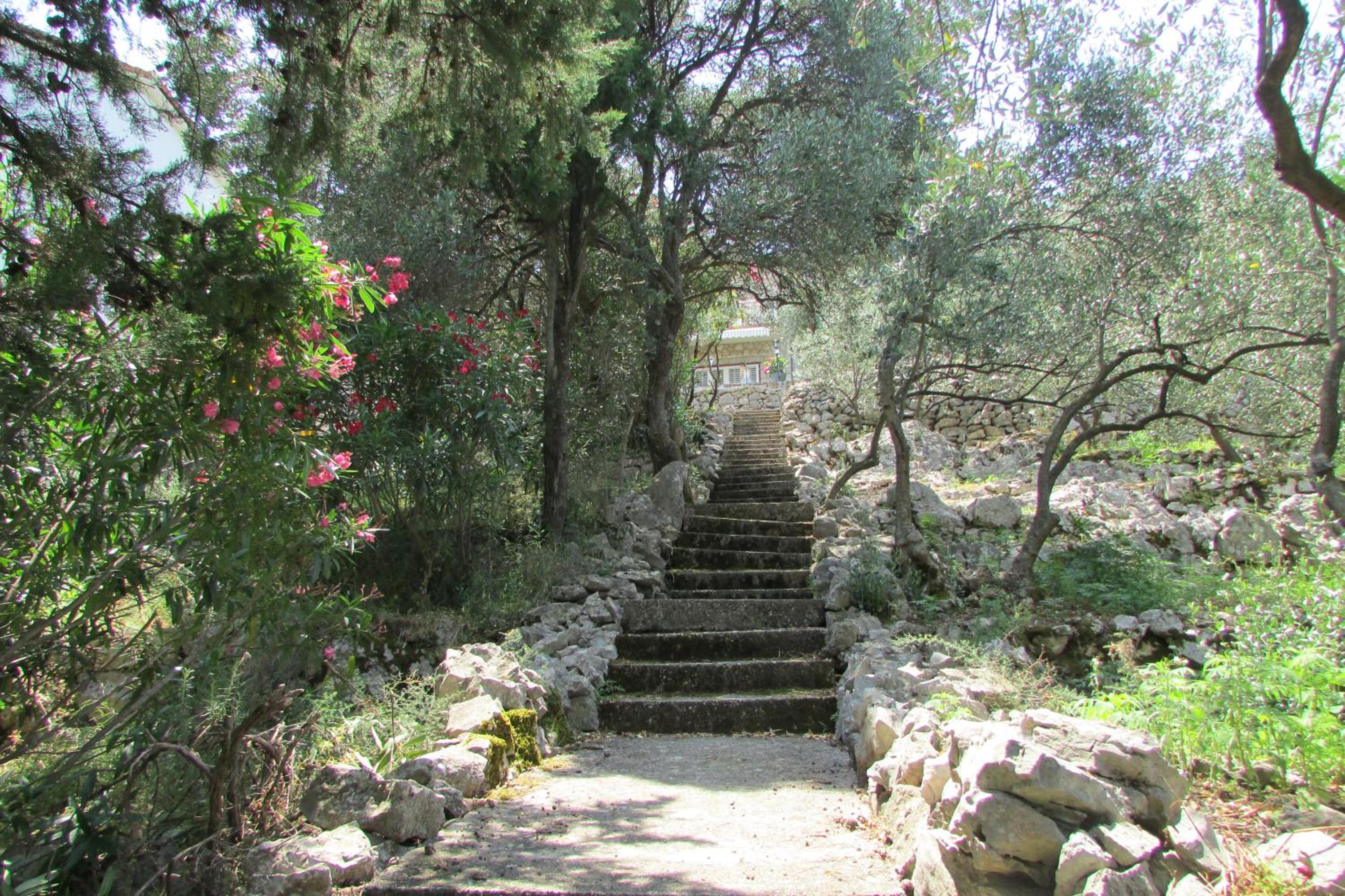 Photo 36
