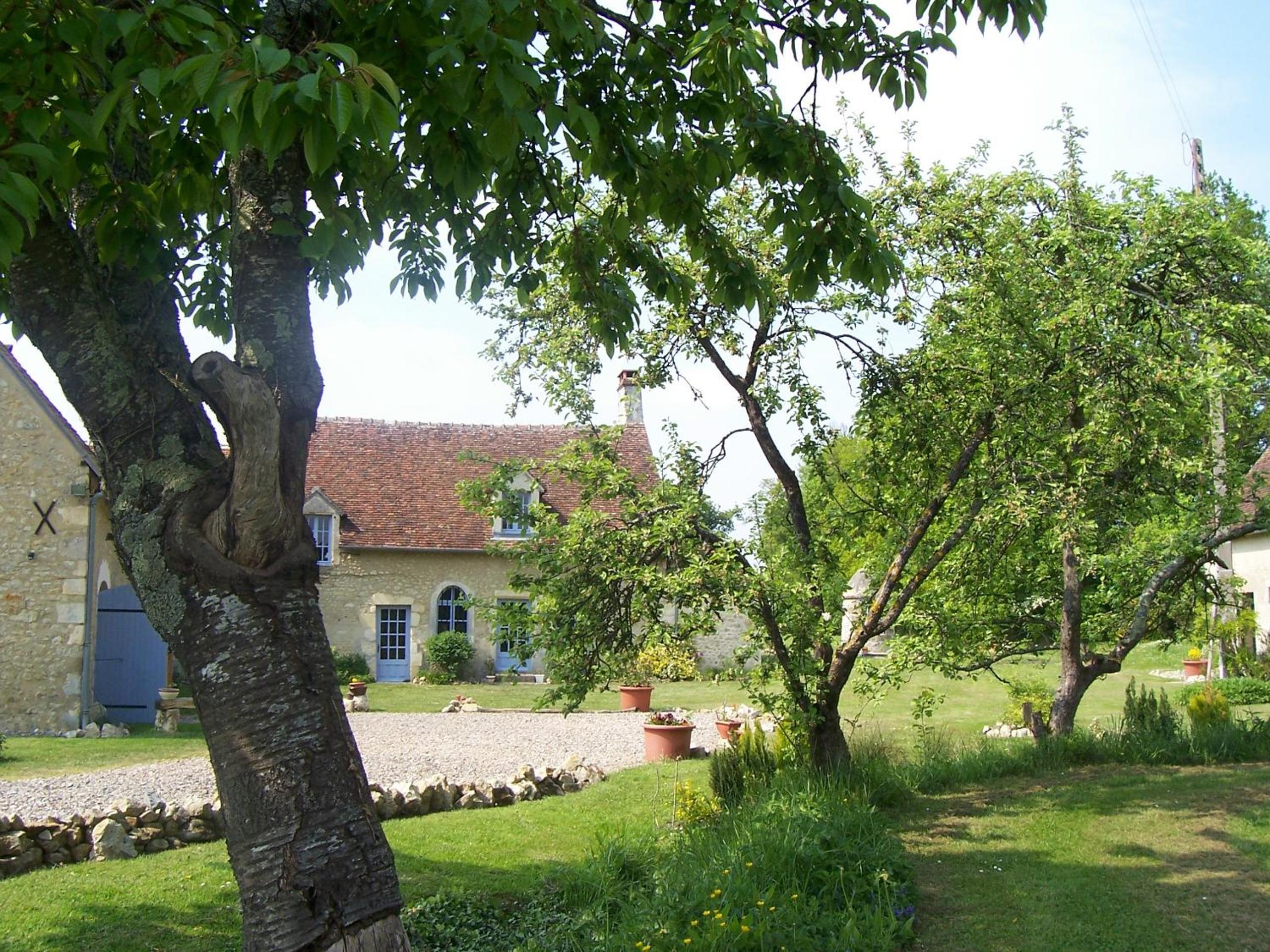 Photo 7