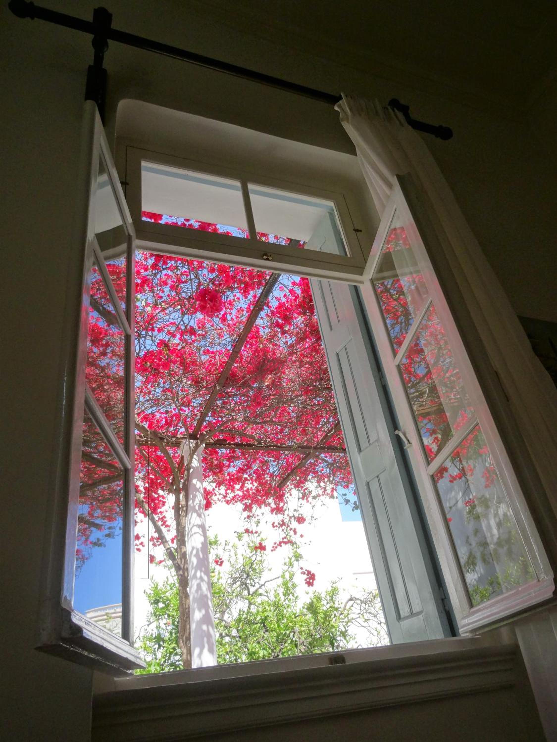 Neoclassical House view 5