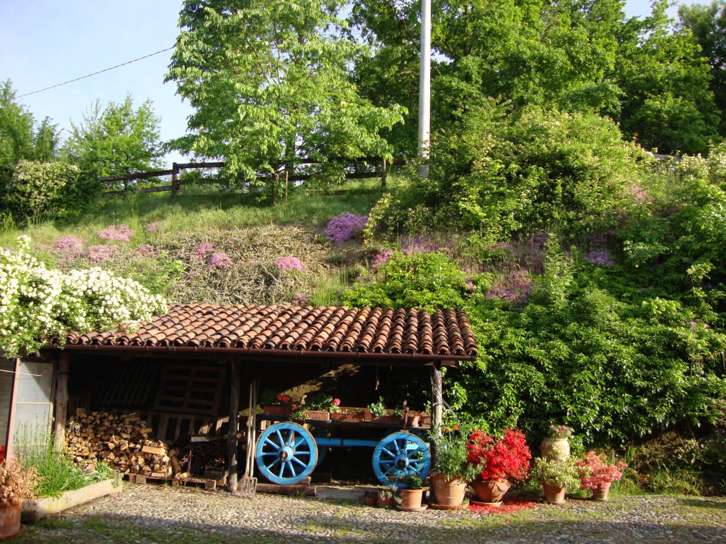 Photo 20