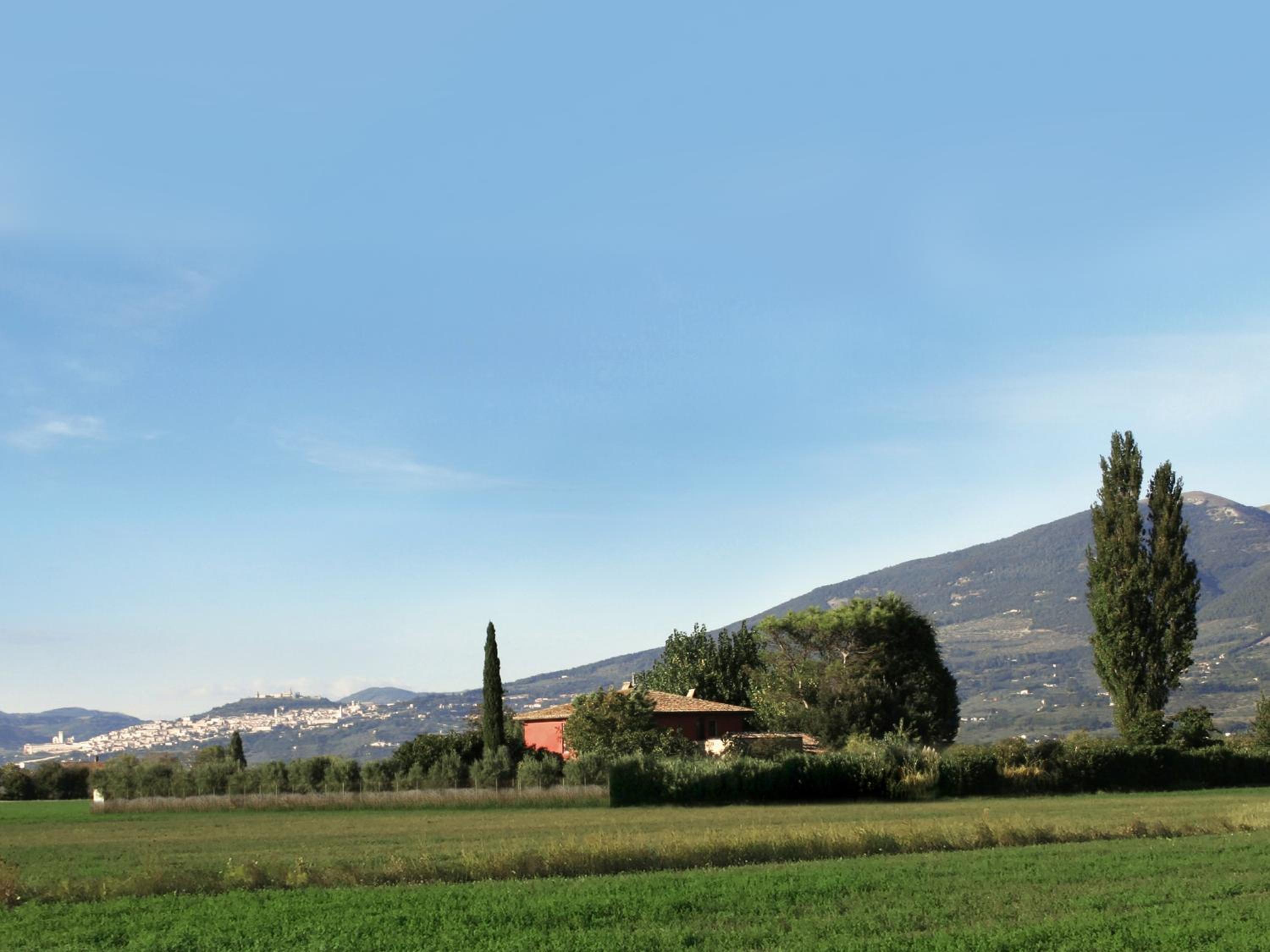Monaldesca view 3