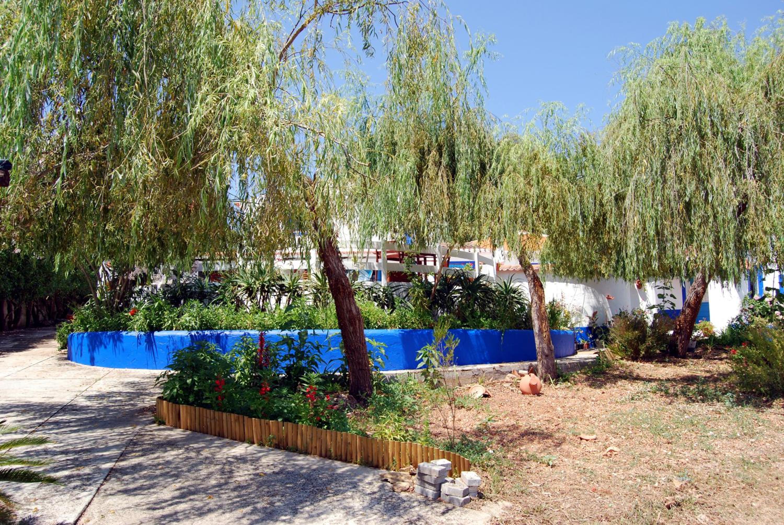 Photo 40