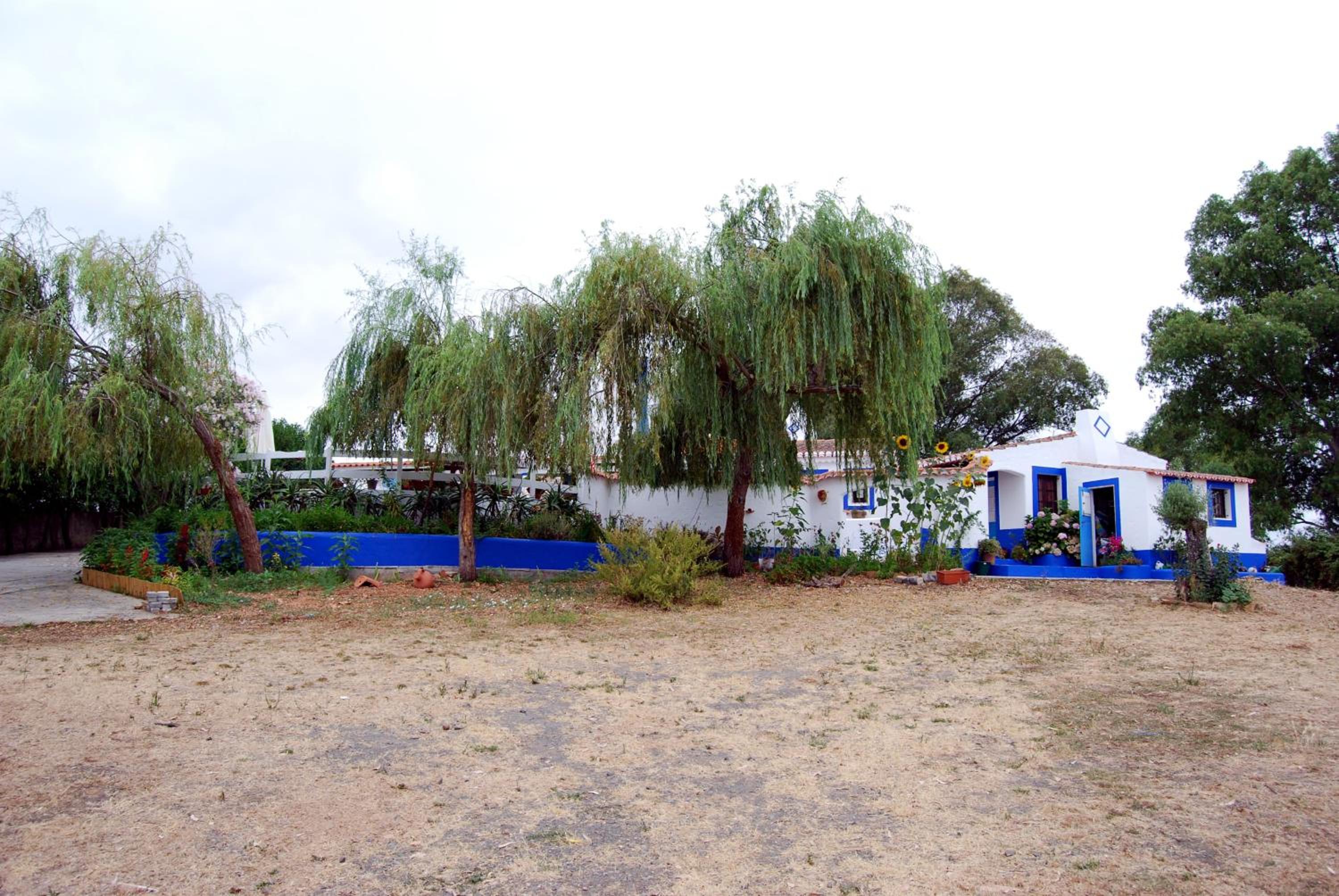 Photo 27