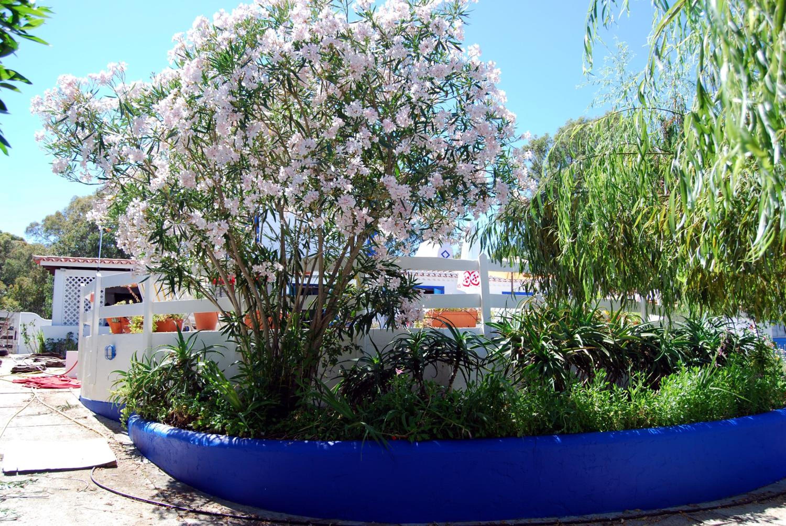 Photo 48