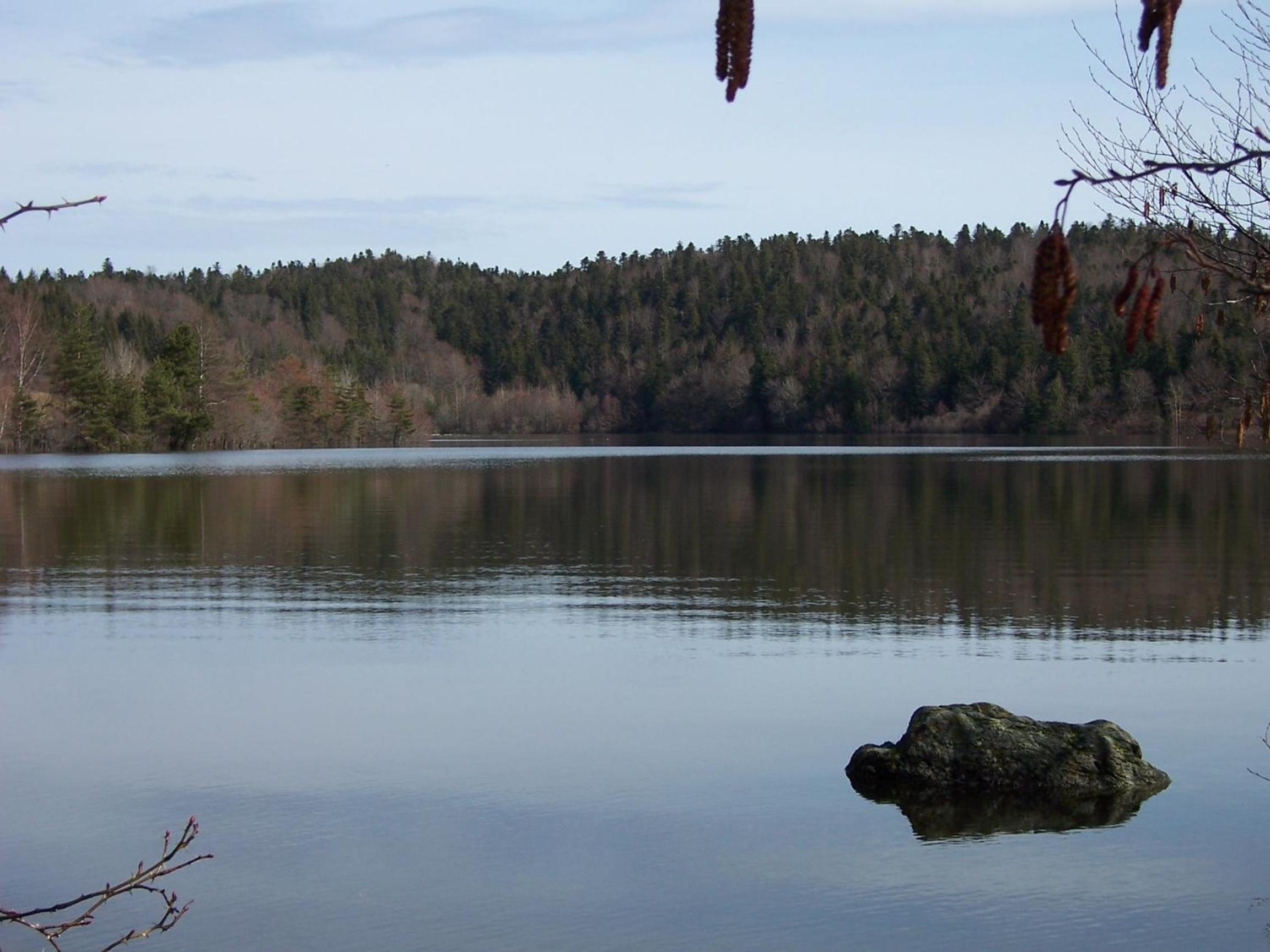 Les Feuillantines view 5