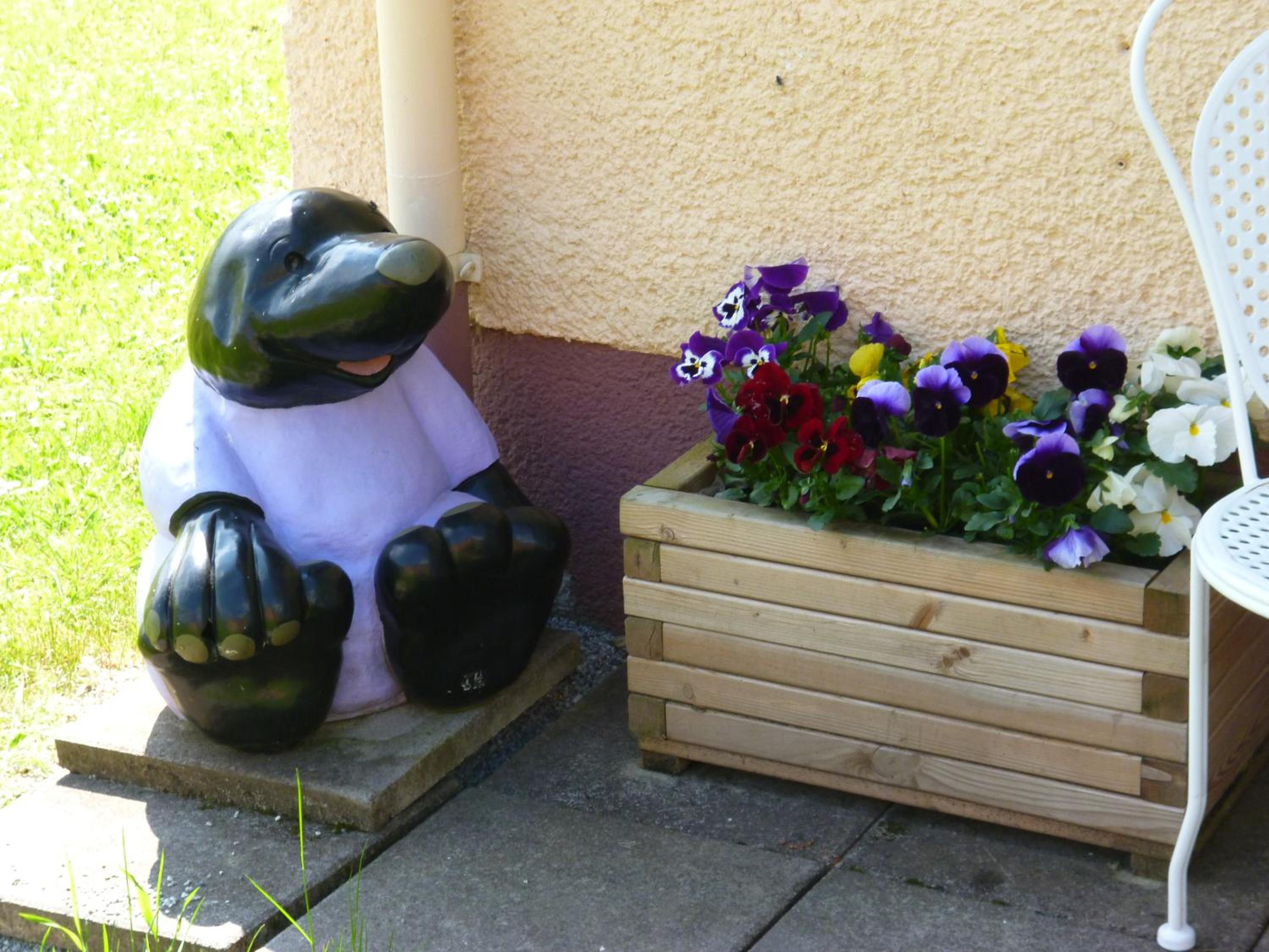 Photo 47