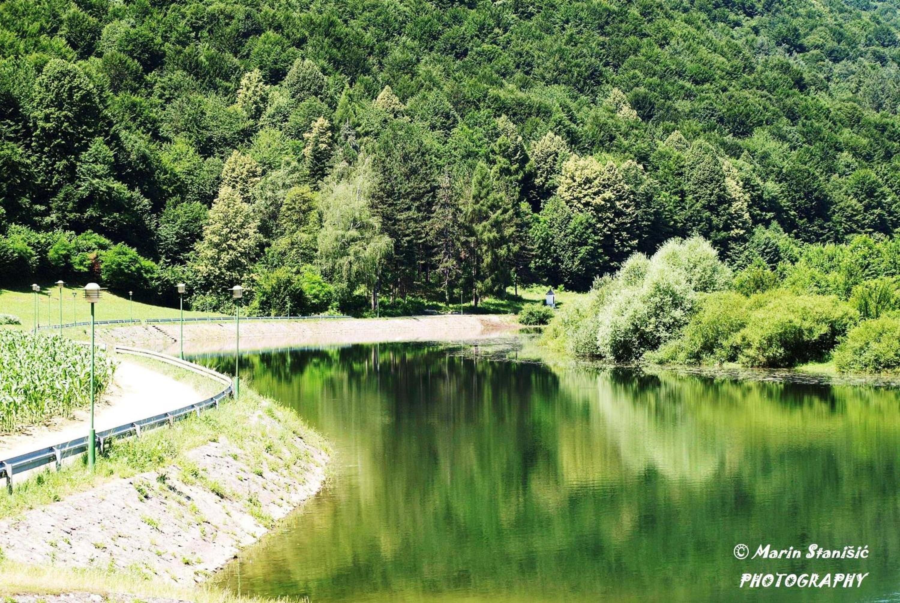 Photo 13