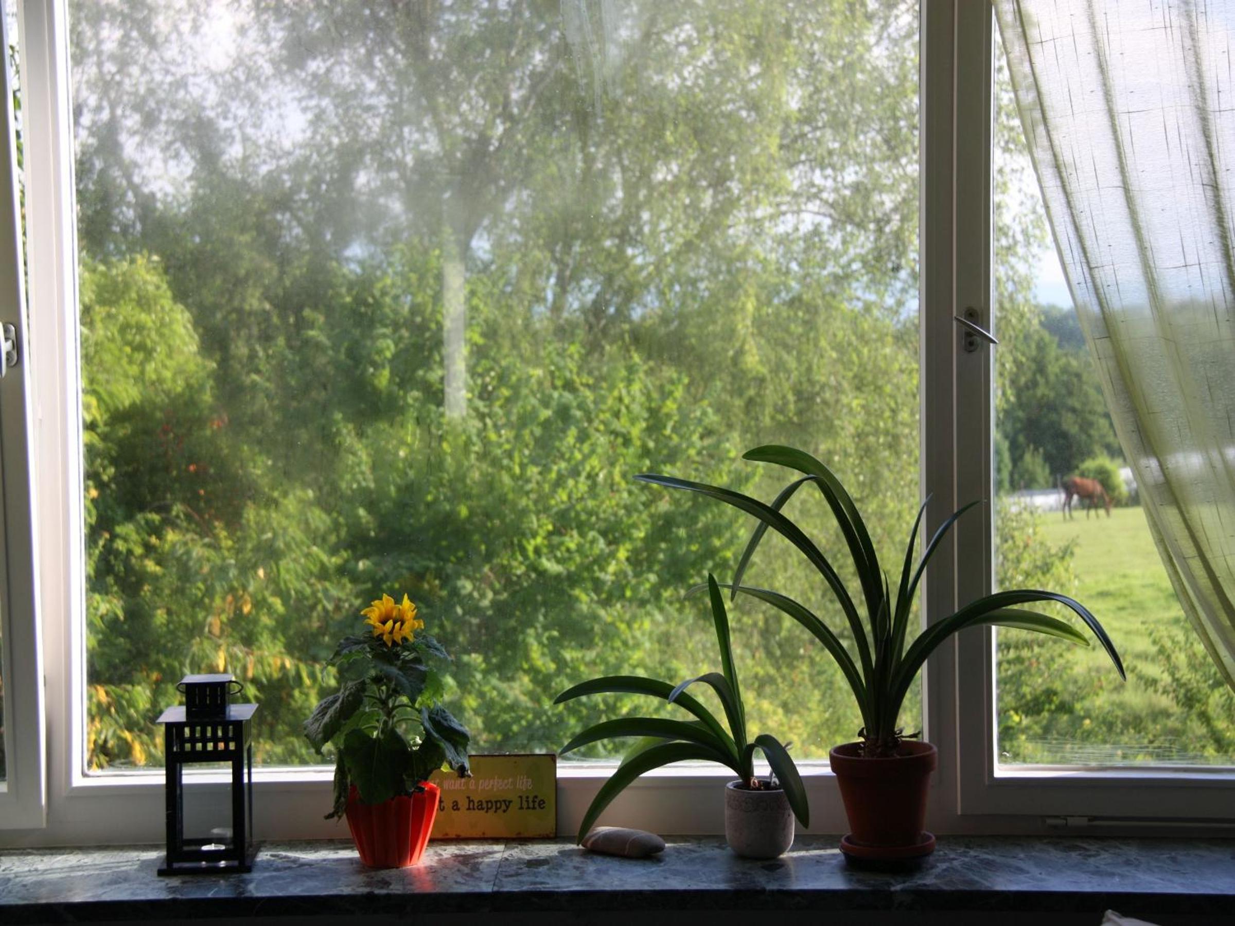 Ferienwohnungen PANO