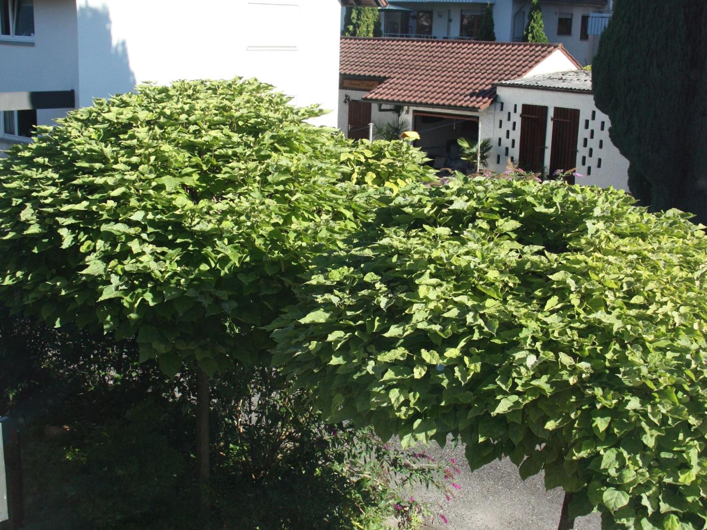 Ferienwohnungen PANO
