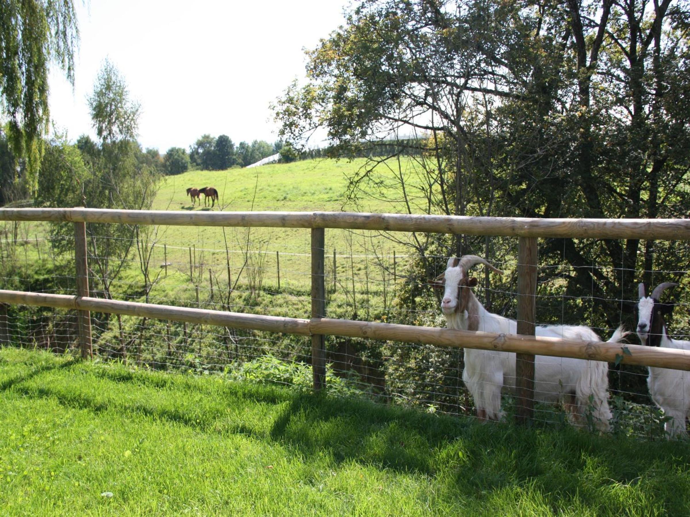 Ferienwohnungen PANO
