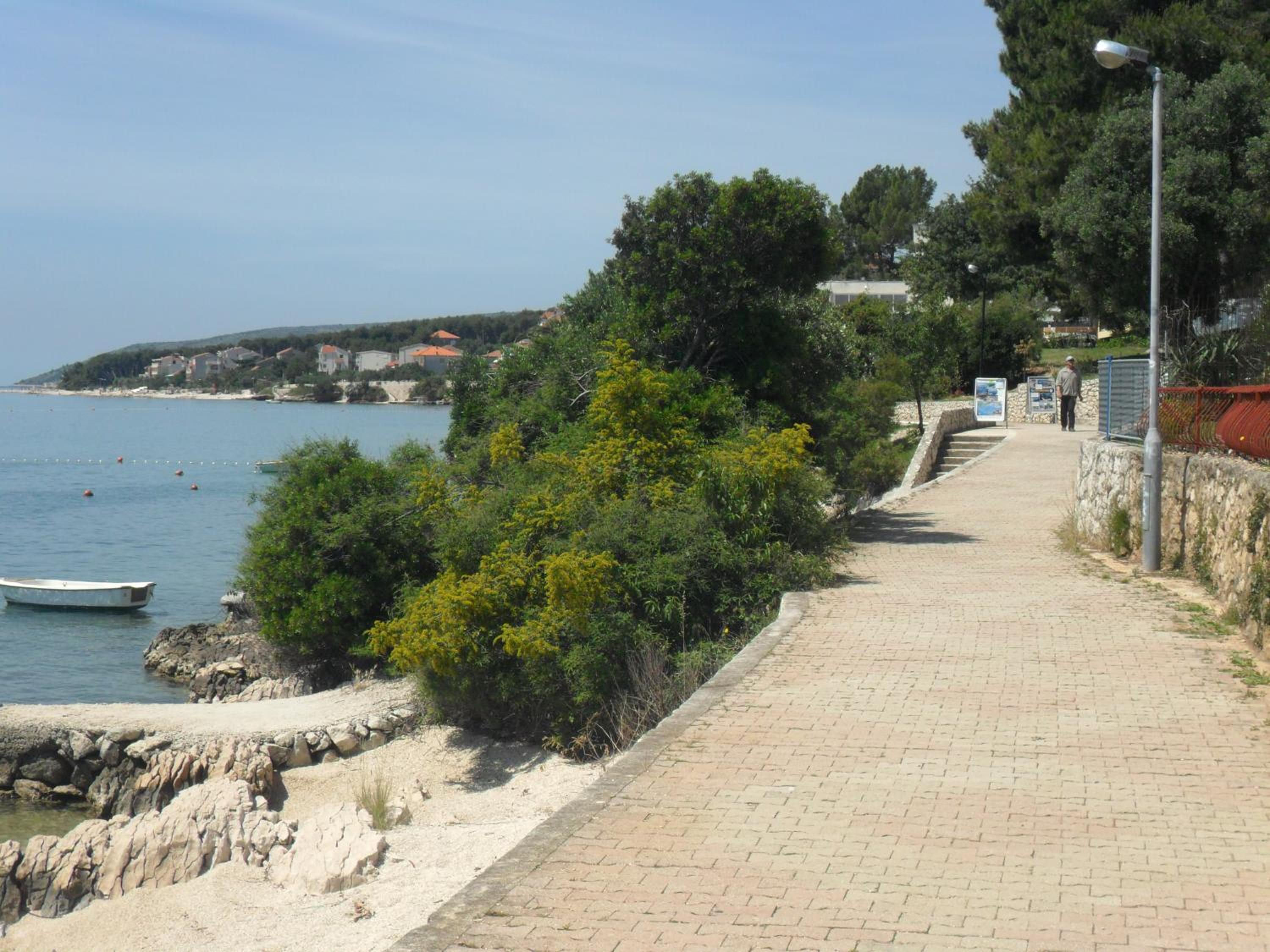 Photo 44