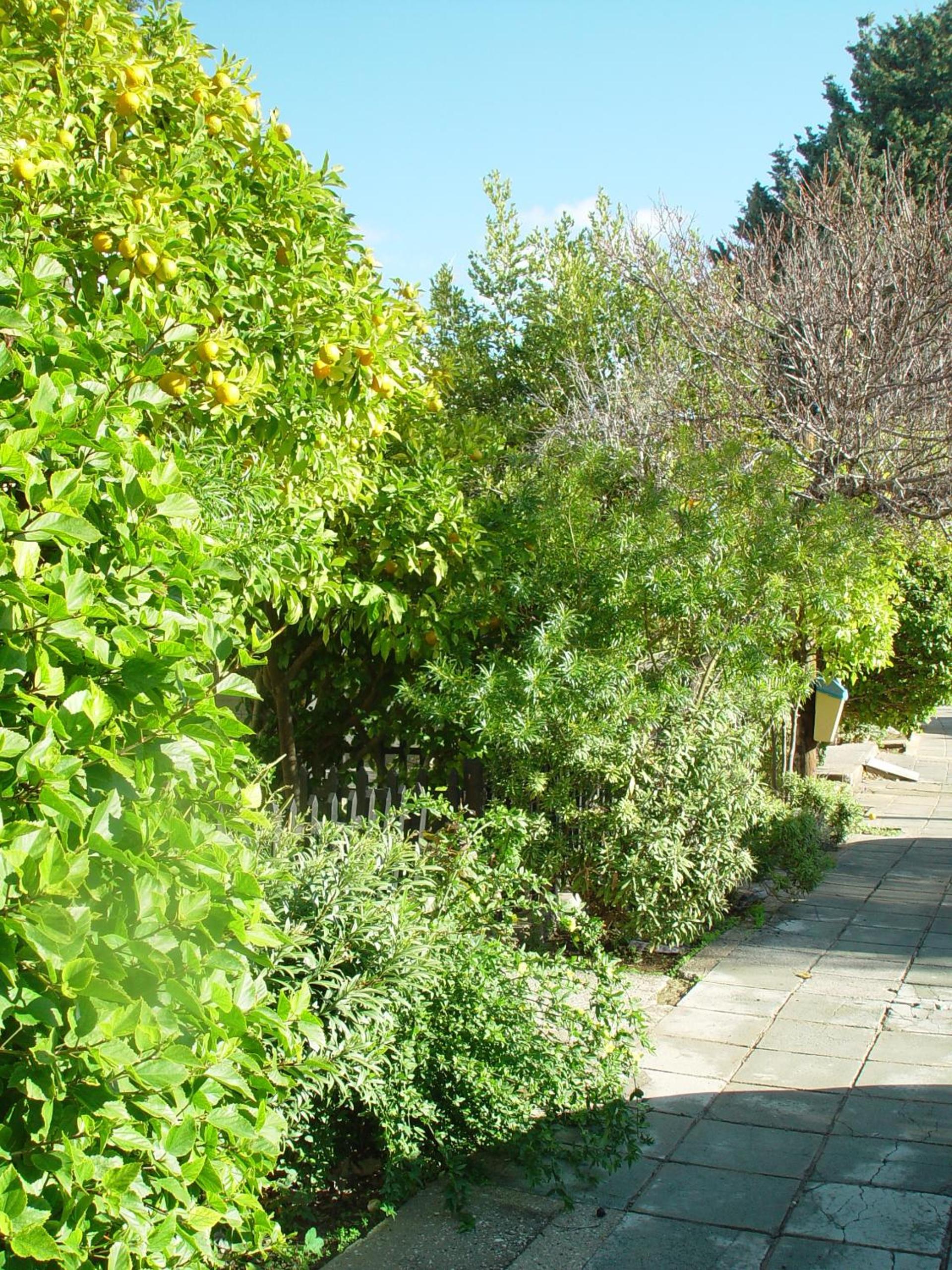 Paphos Studios
