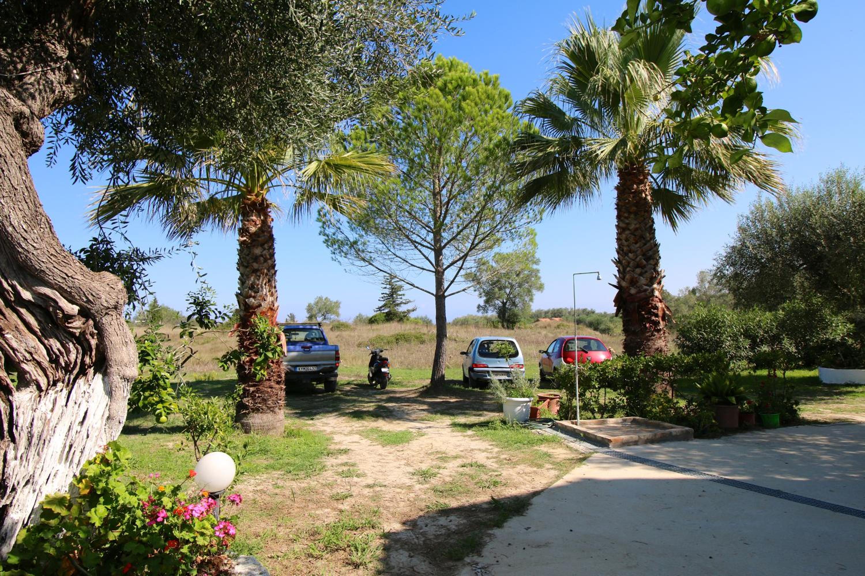Photo 22
