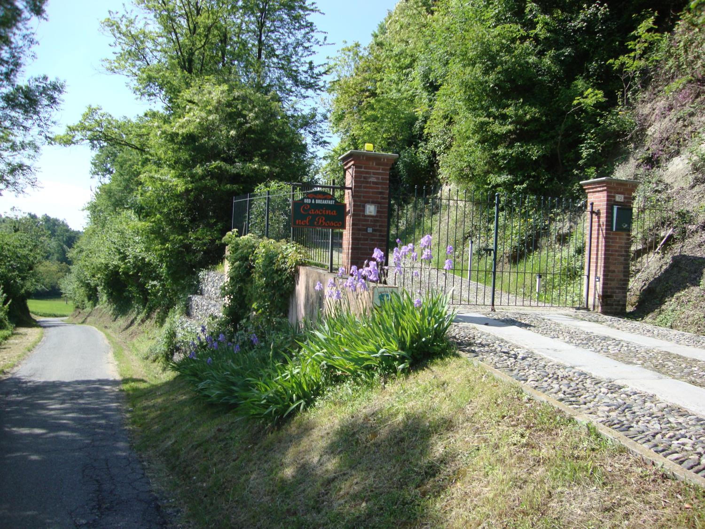 Cascina nel bosco view 4