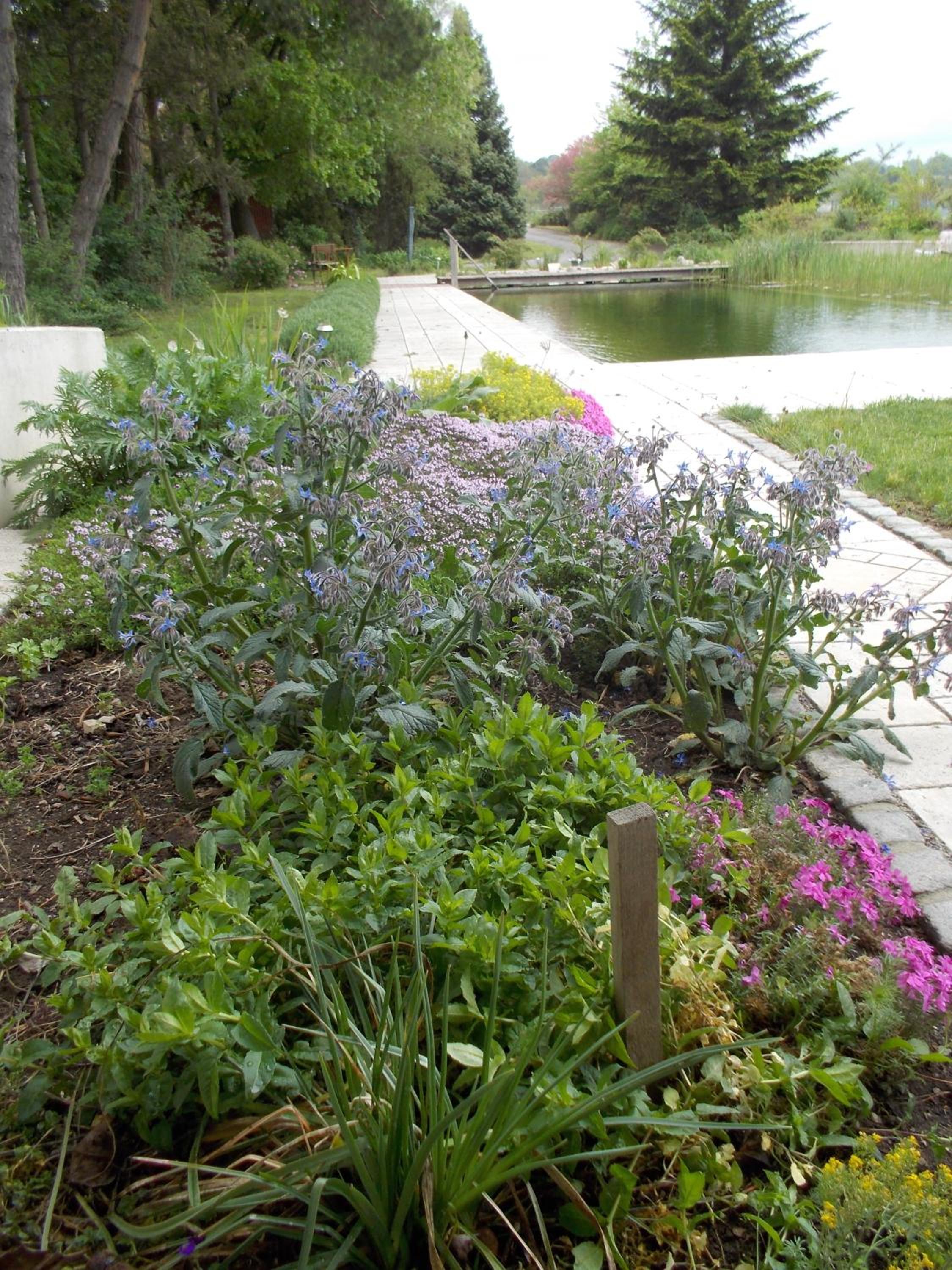 Photo 20